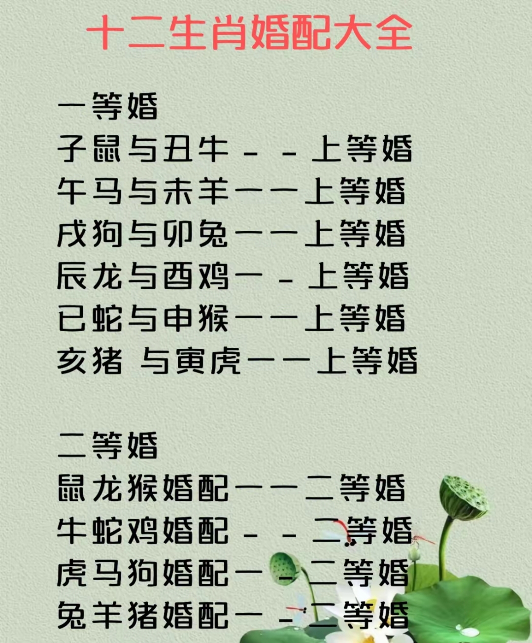 十二生肖一周爱情运势(十二生肖每周运势)