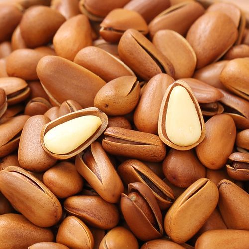 吉林市特产:【红松籽】