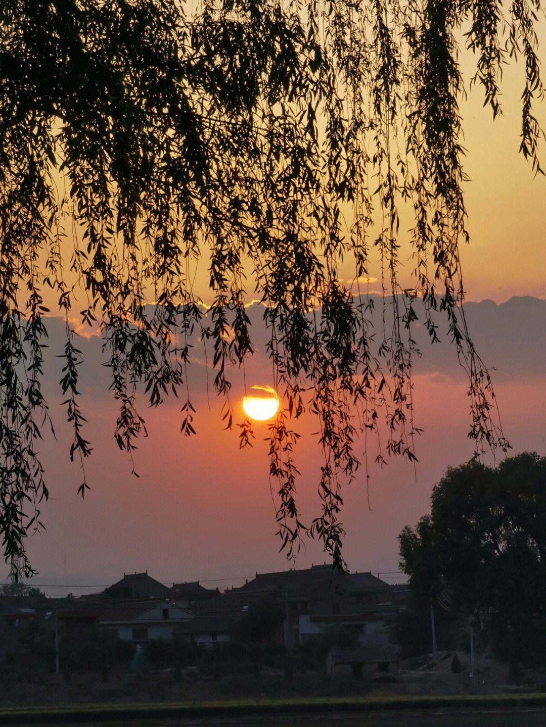 夕阳的余晖图片