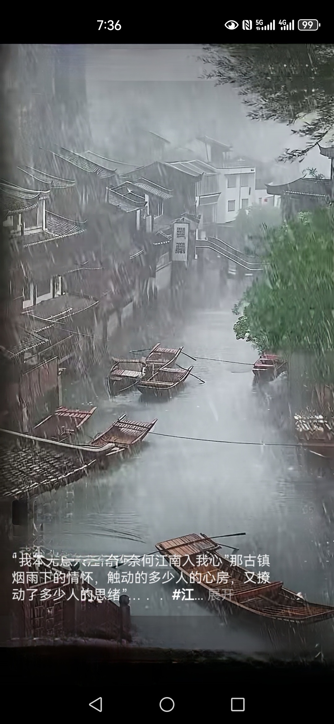 农牵牛从桥上回家的图片雨中的额尔齐斯河州河塔沱微雨狂风骤雨暗江干