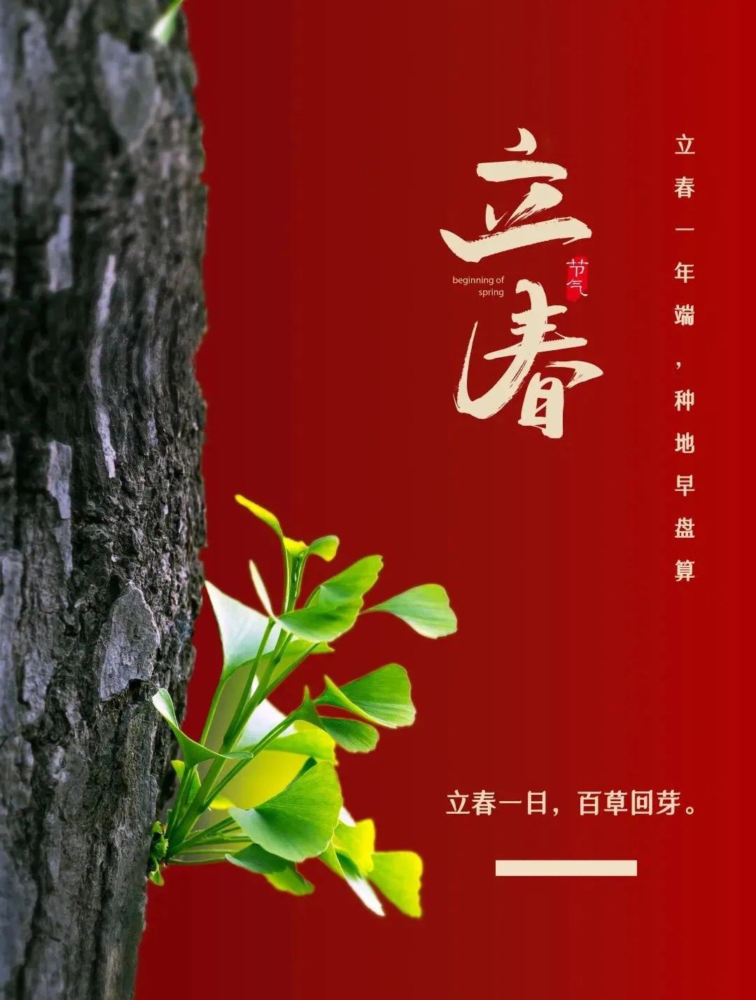 愿你的心情像春天的阳光一样明媚,  生活像鲜花一样绚烂