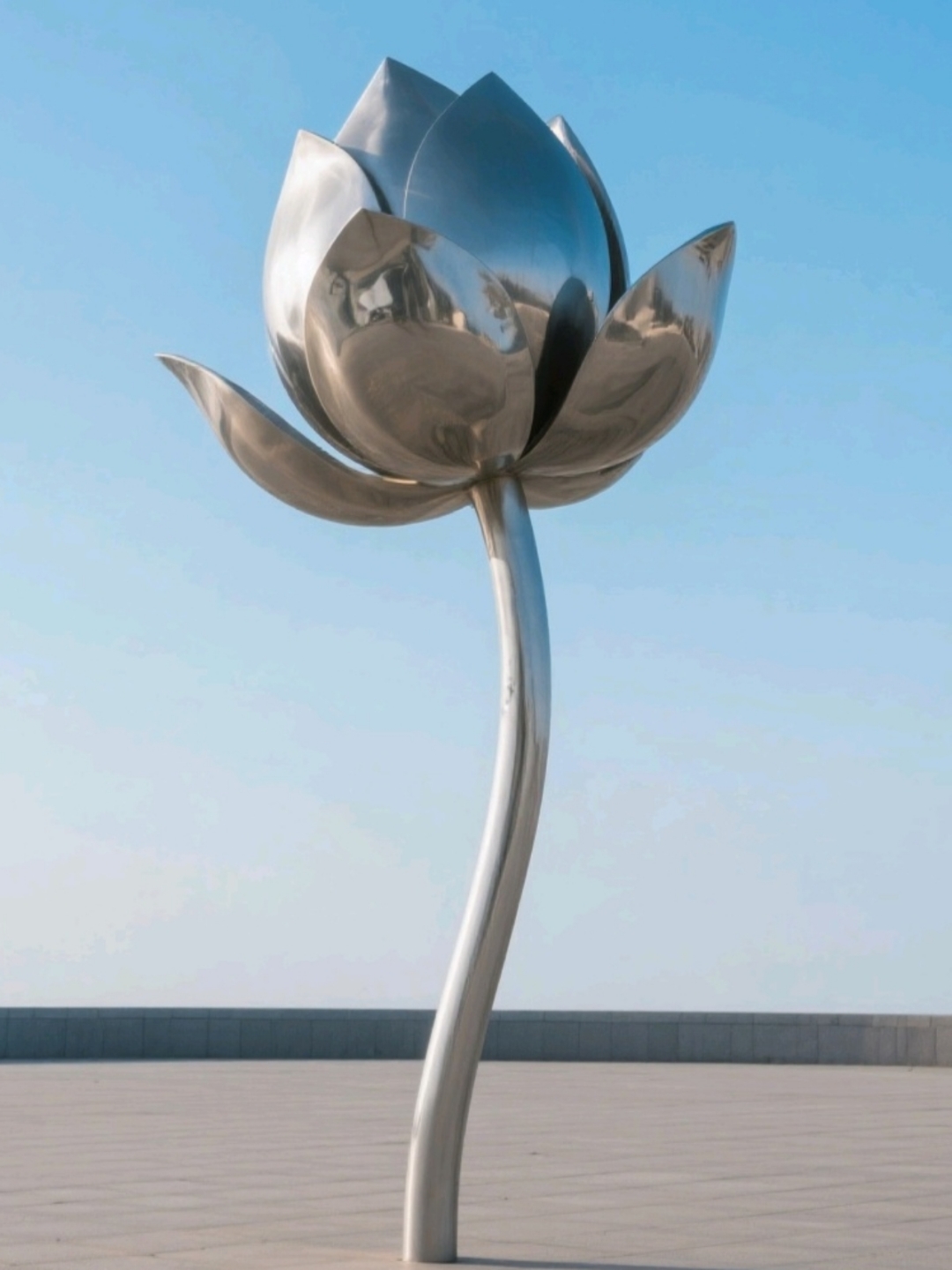 哇,这朵不锈钢荷花雕塑真是太闪耀了,感觉它随时会在这片晴空下绽放!