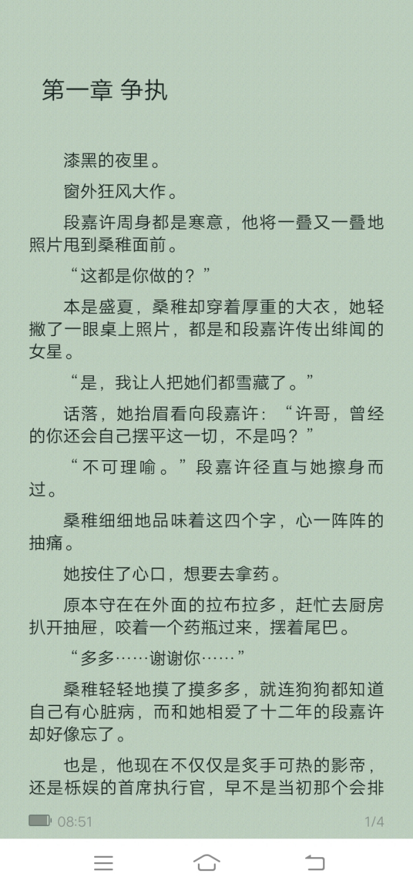 段嘉许开车图片