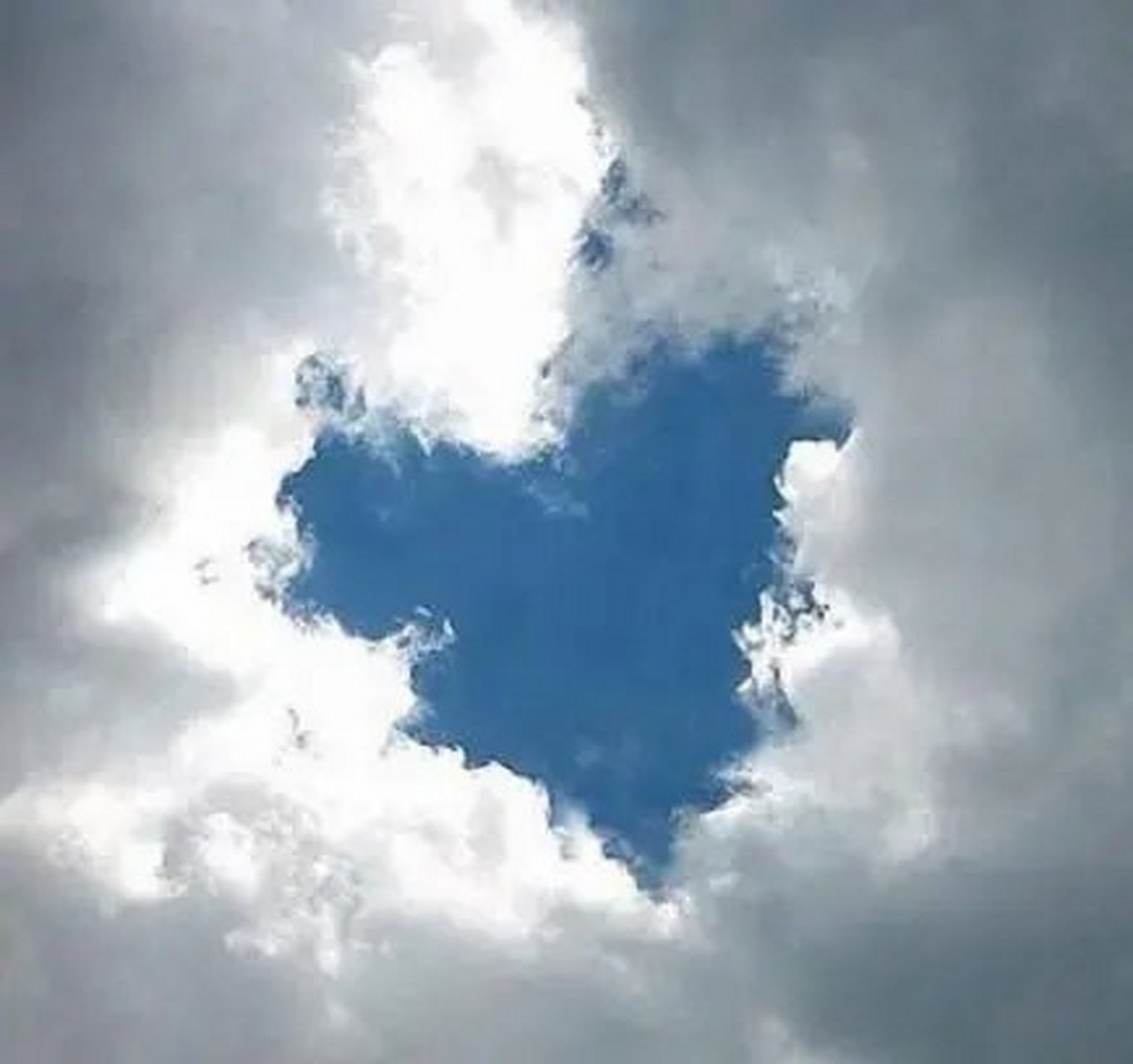 主动的人,和命运一起走,被动的人,命运推着你走.