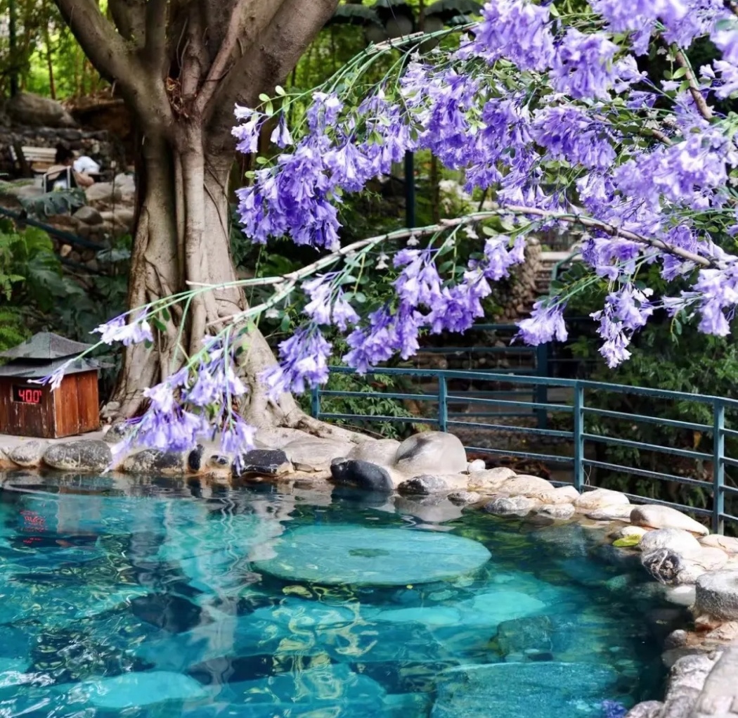 十万大山温泉·上思县 布透温泉距离南宁两小时车程,水温在38-4℃ 