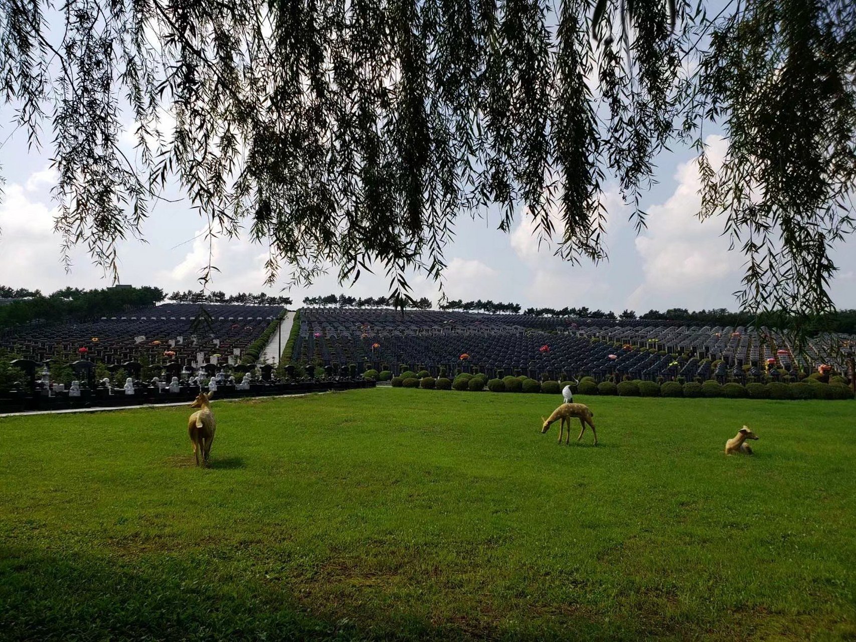 中华寺墓园介绍  中华寺墓园位于沈阳市东陵区与抚顺交界处的灵山上