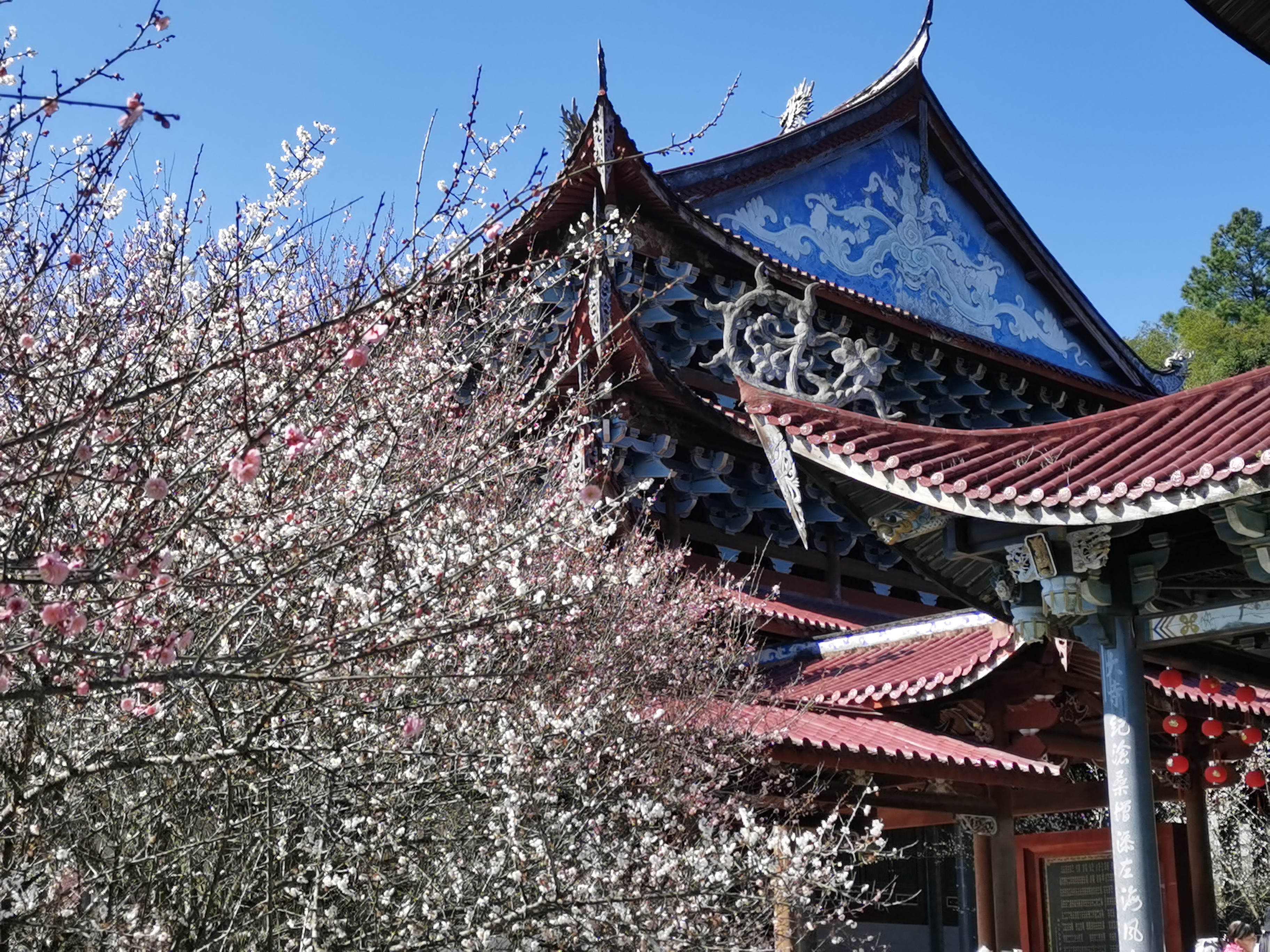 随手拍春天#  福州林阳寺