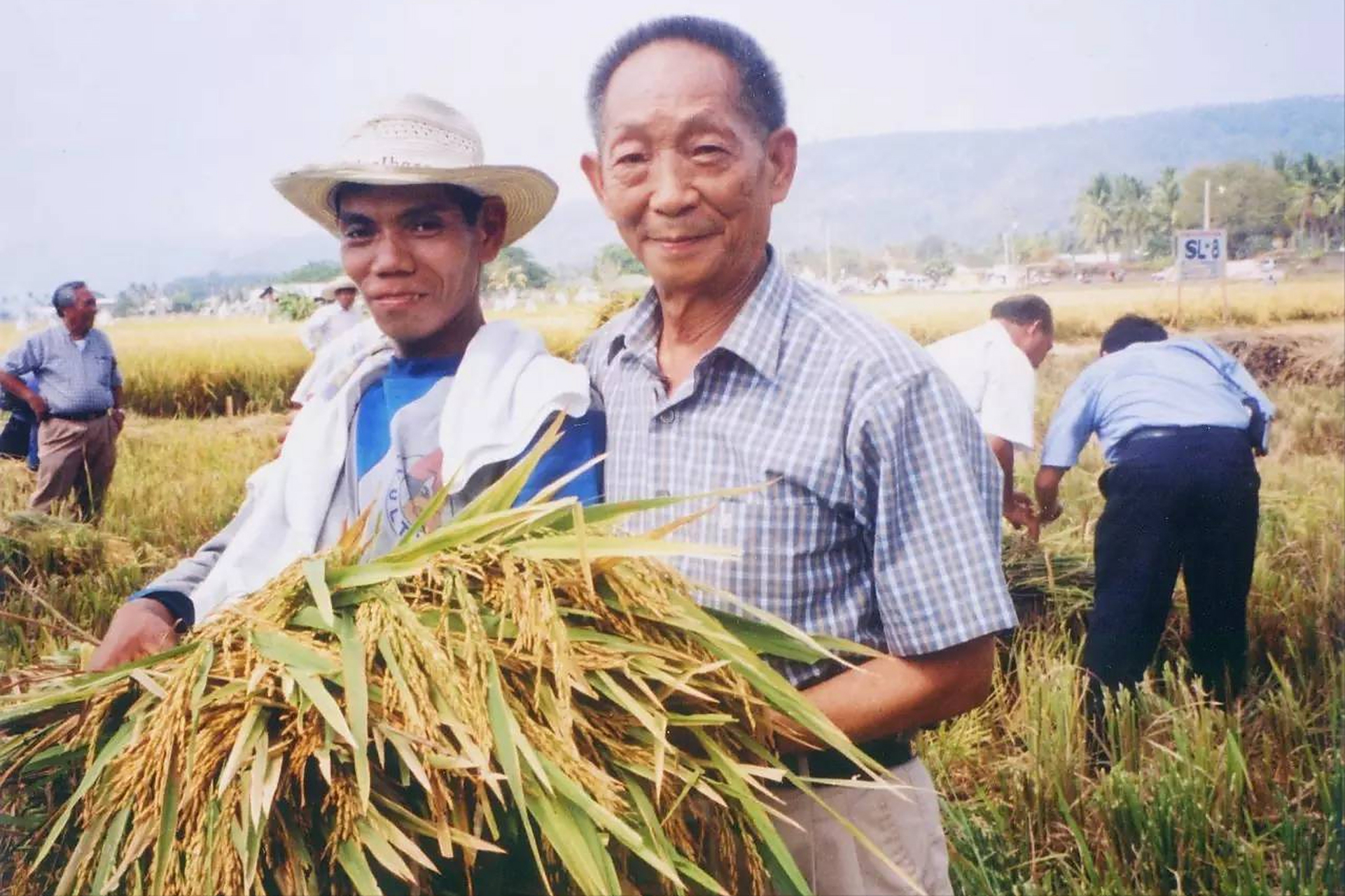 老照片,2010年代的袁隆平在湖南岳阳水稻田里看农民丰收的稻谷