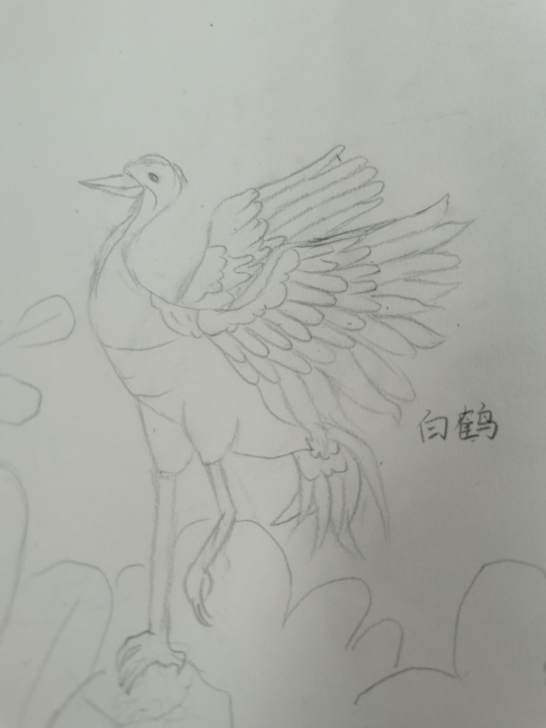 白鹤素描画图片