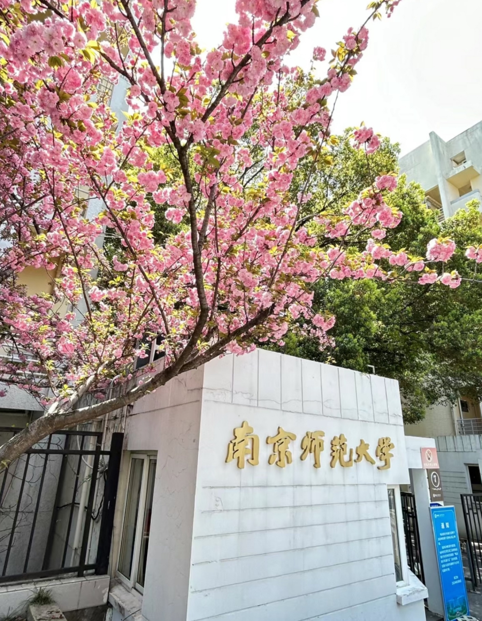 南京师范大学照片风景图片