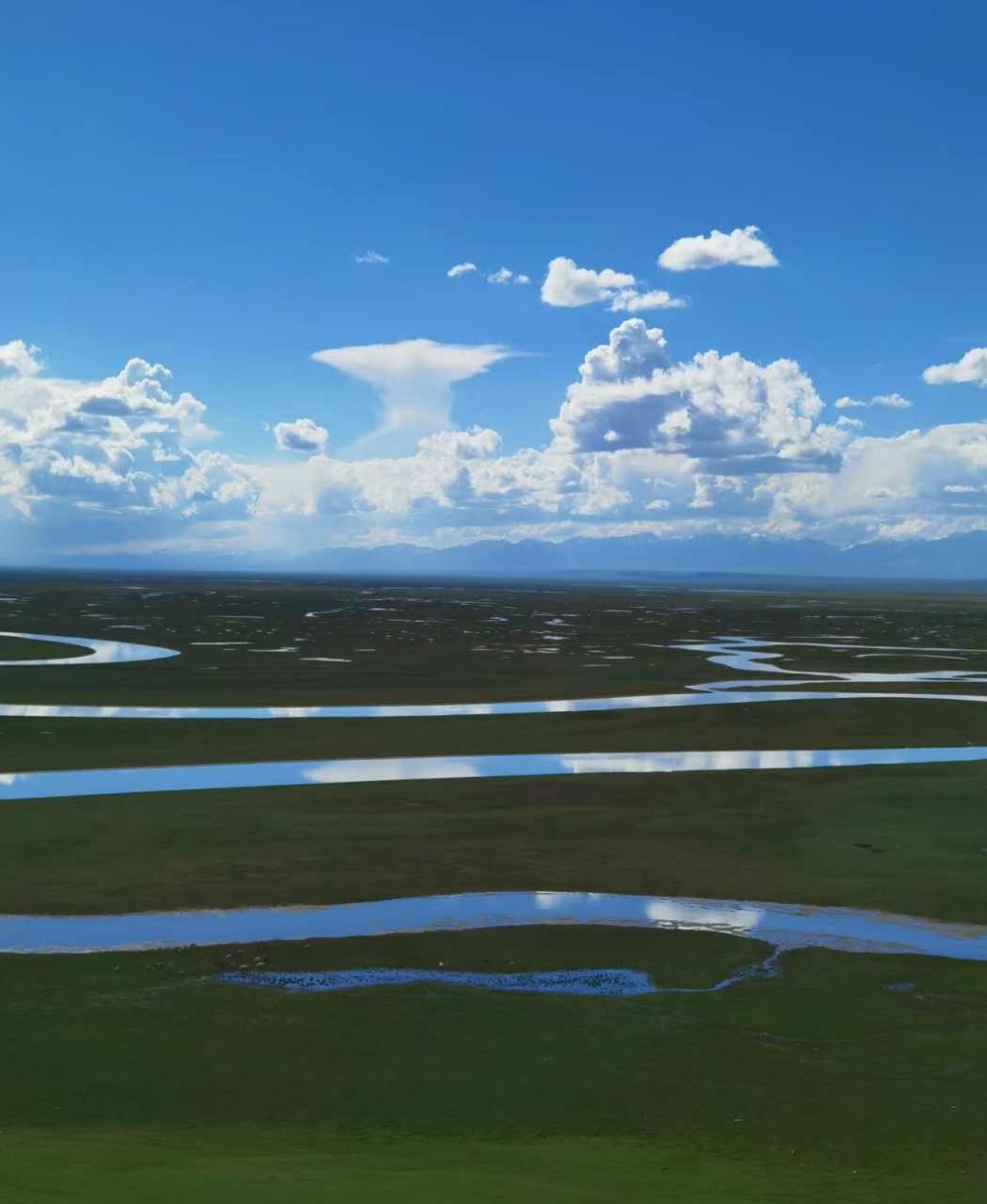 巴音郭楞旅游攻略99  巴音郭楞,位于新疆,是一个充满神秘色彩的地方