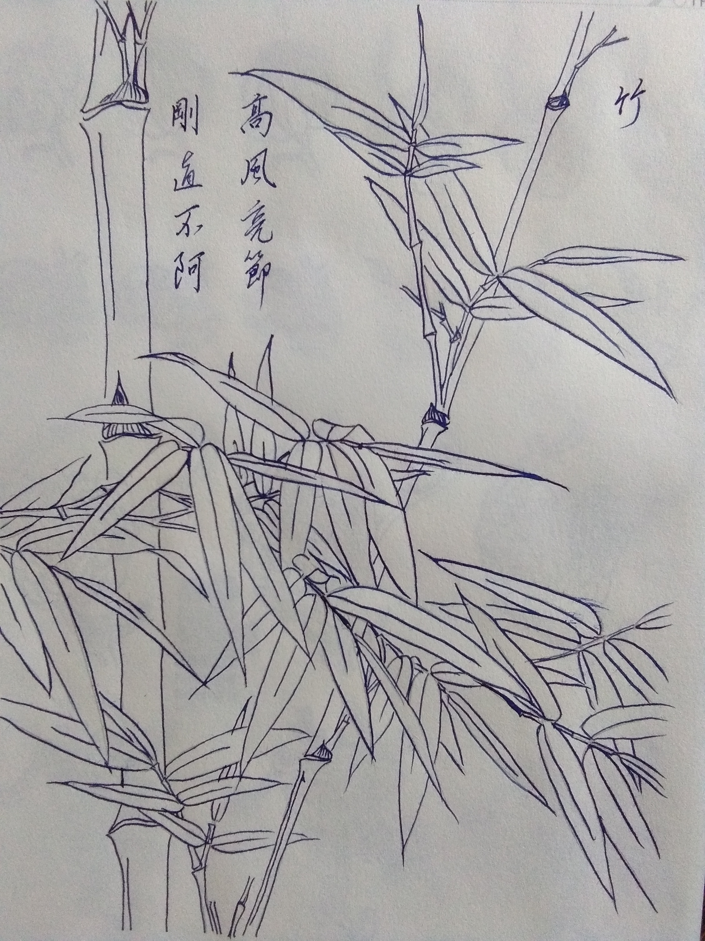 中华传统文化# 梅,兰,竹,菊白描