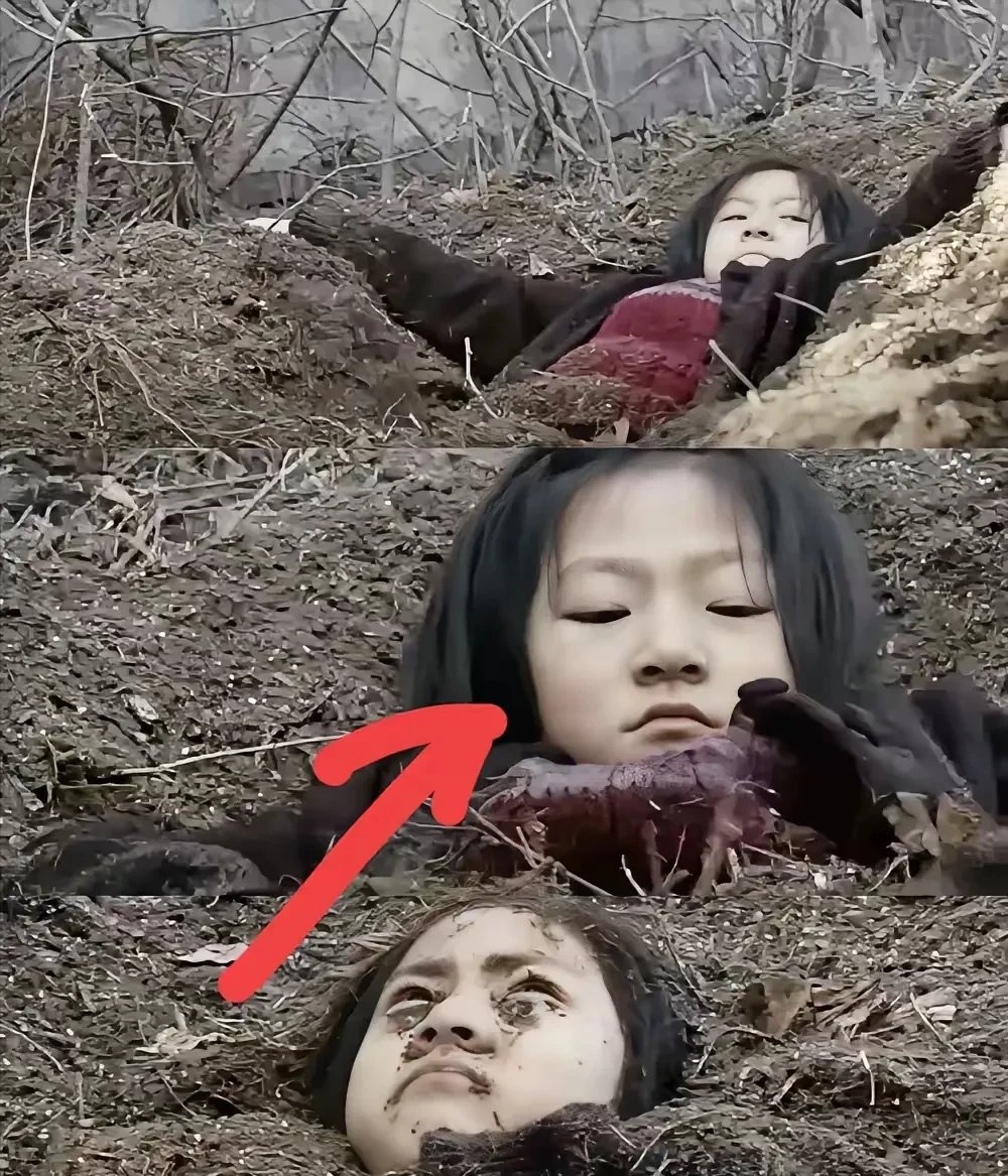 案子终于真相大白了