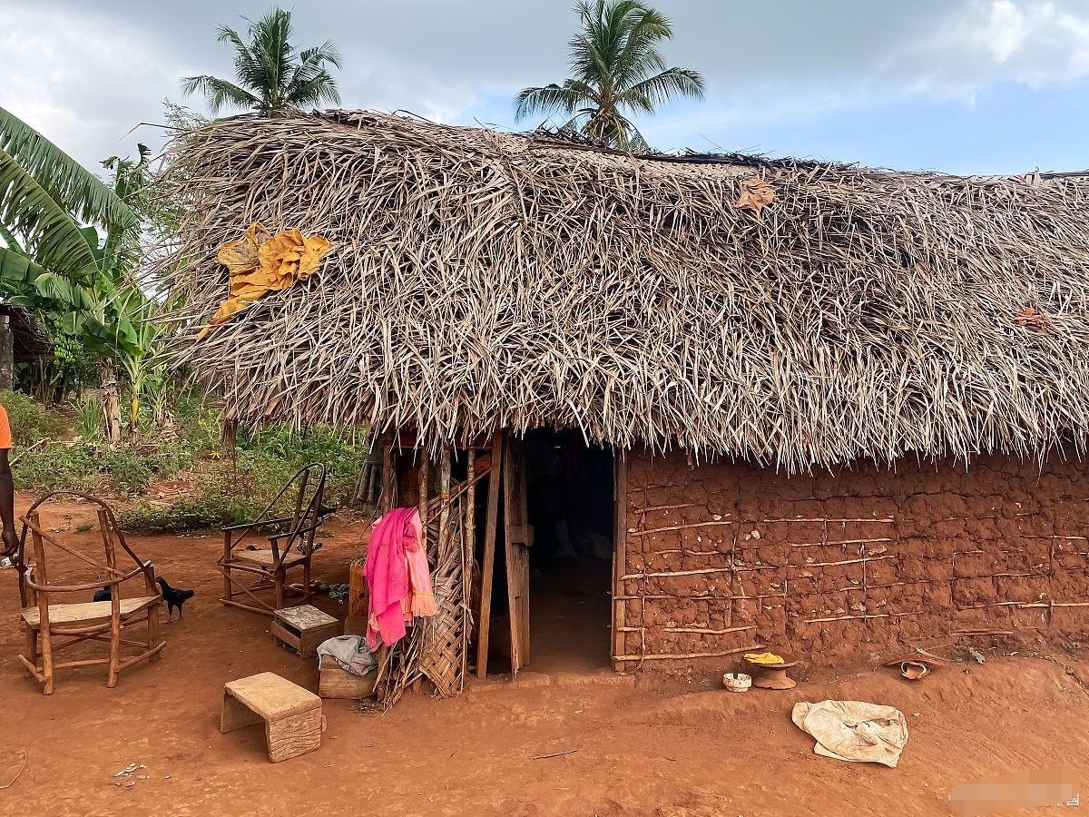 我在非洲刚果金一年了,和国内比好坏参半吧,这里的环境很差,但是吃的