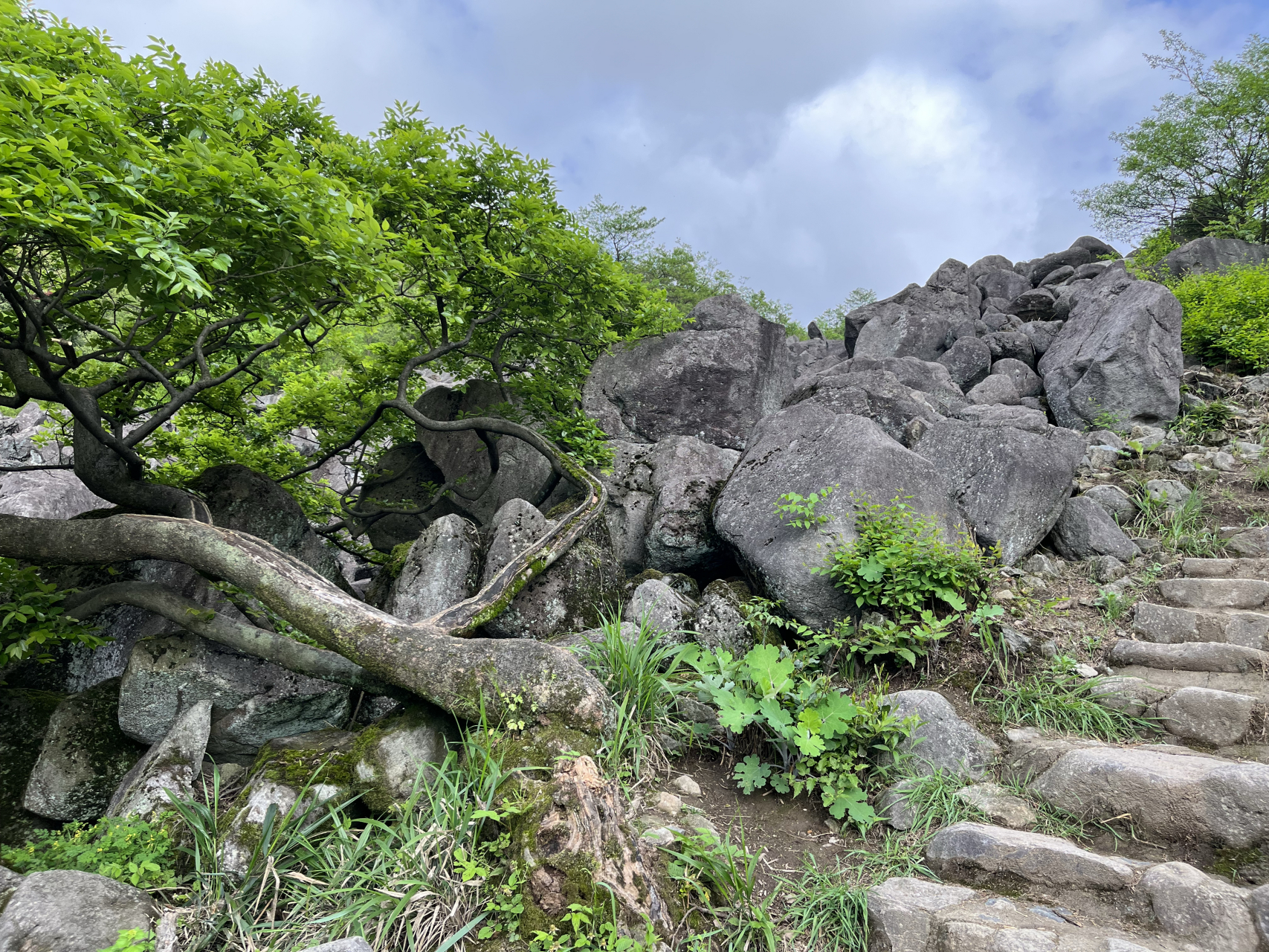 千年梯田,万年石浪——浙江绍兴上虞区覆卮山