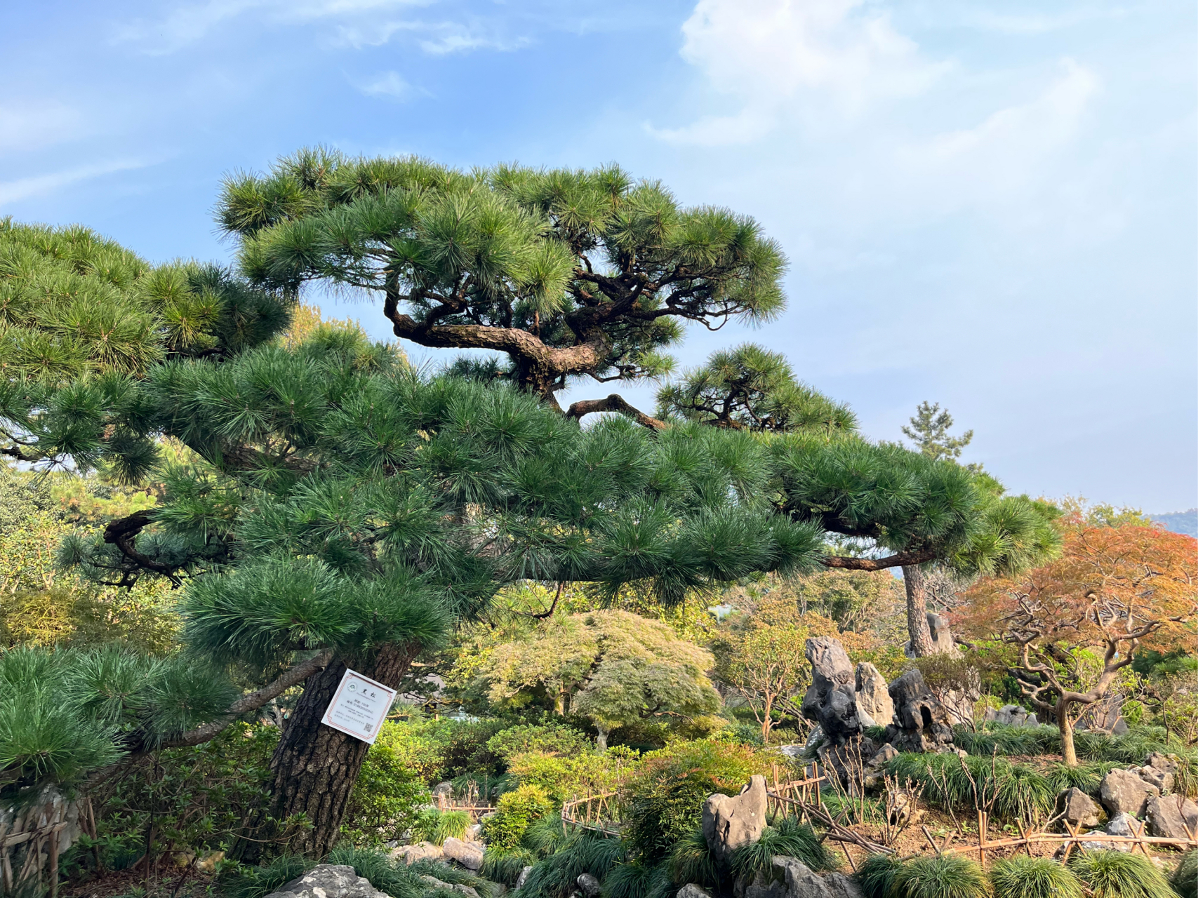 杭州花港观鱼公园