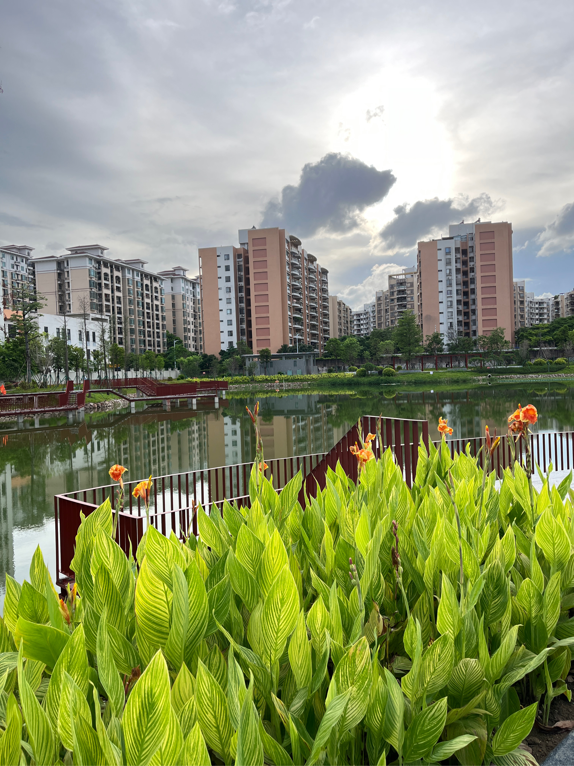 株洲城市绿洲图片