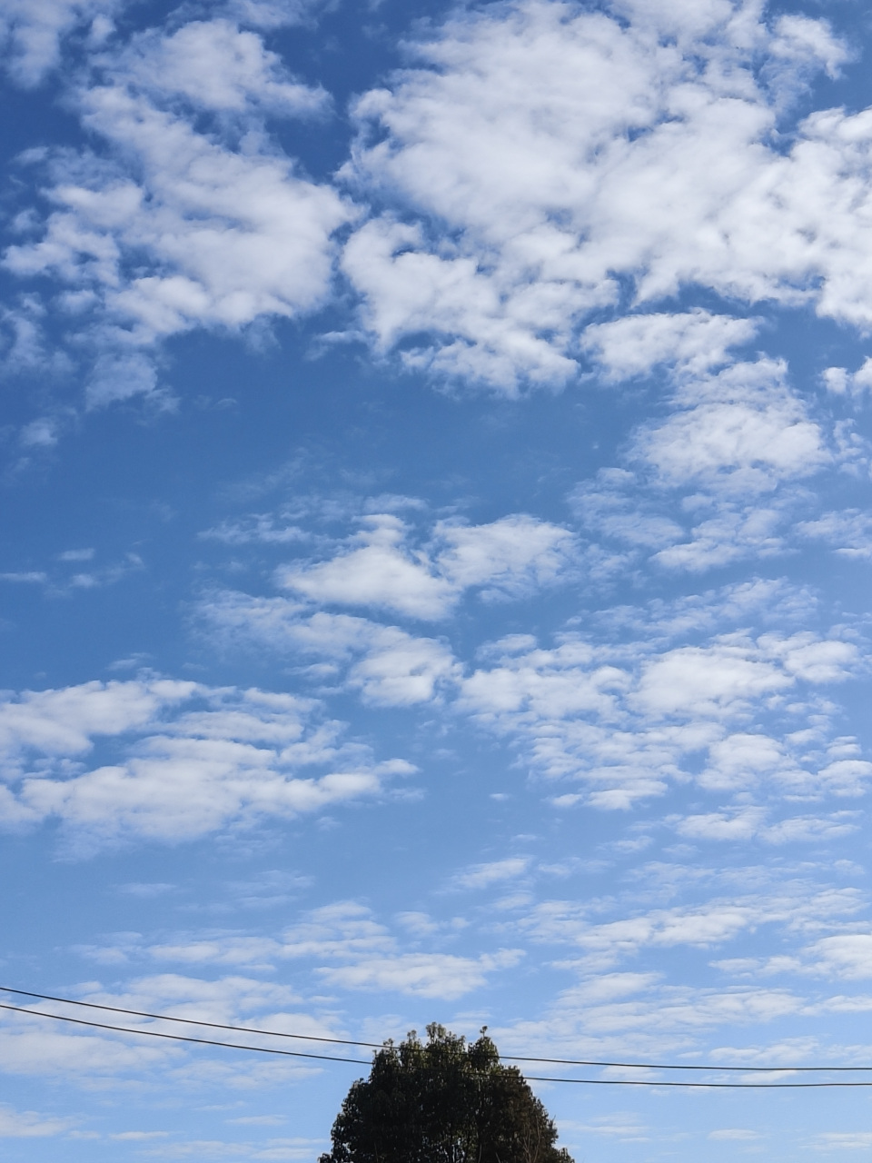 每次回到家乡,看到那片纯净的蓝天和洁白的云朵,心情都会变得格外舒畅