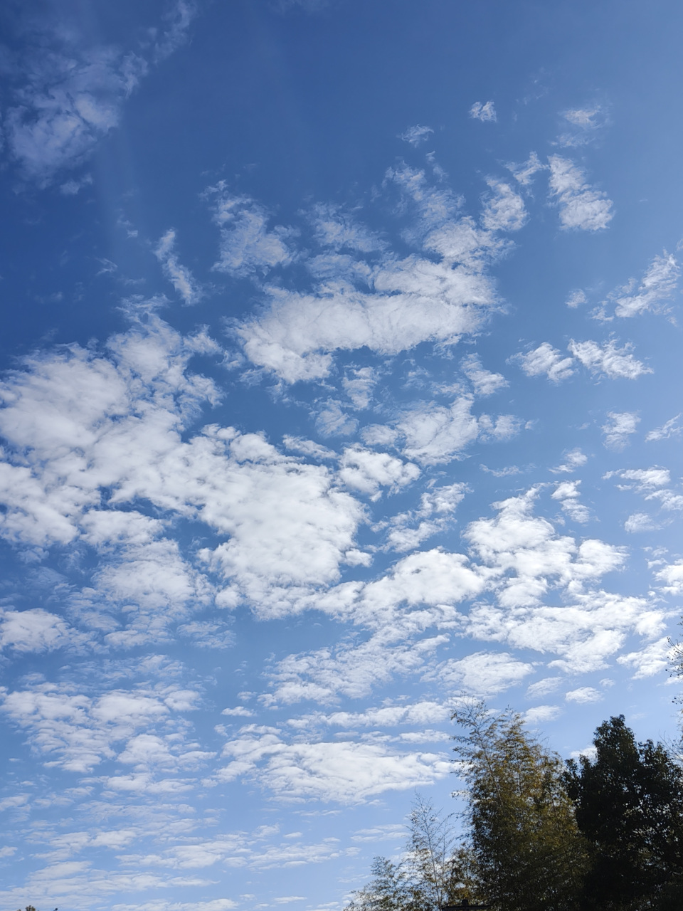 每次回到家乡,看到那片纯净的蓝天和洁白的云朵,心情都会变得格外舒畅