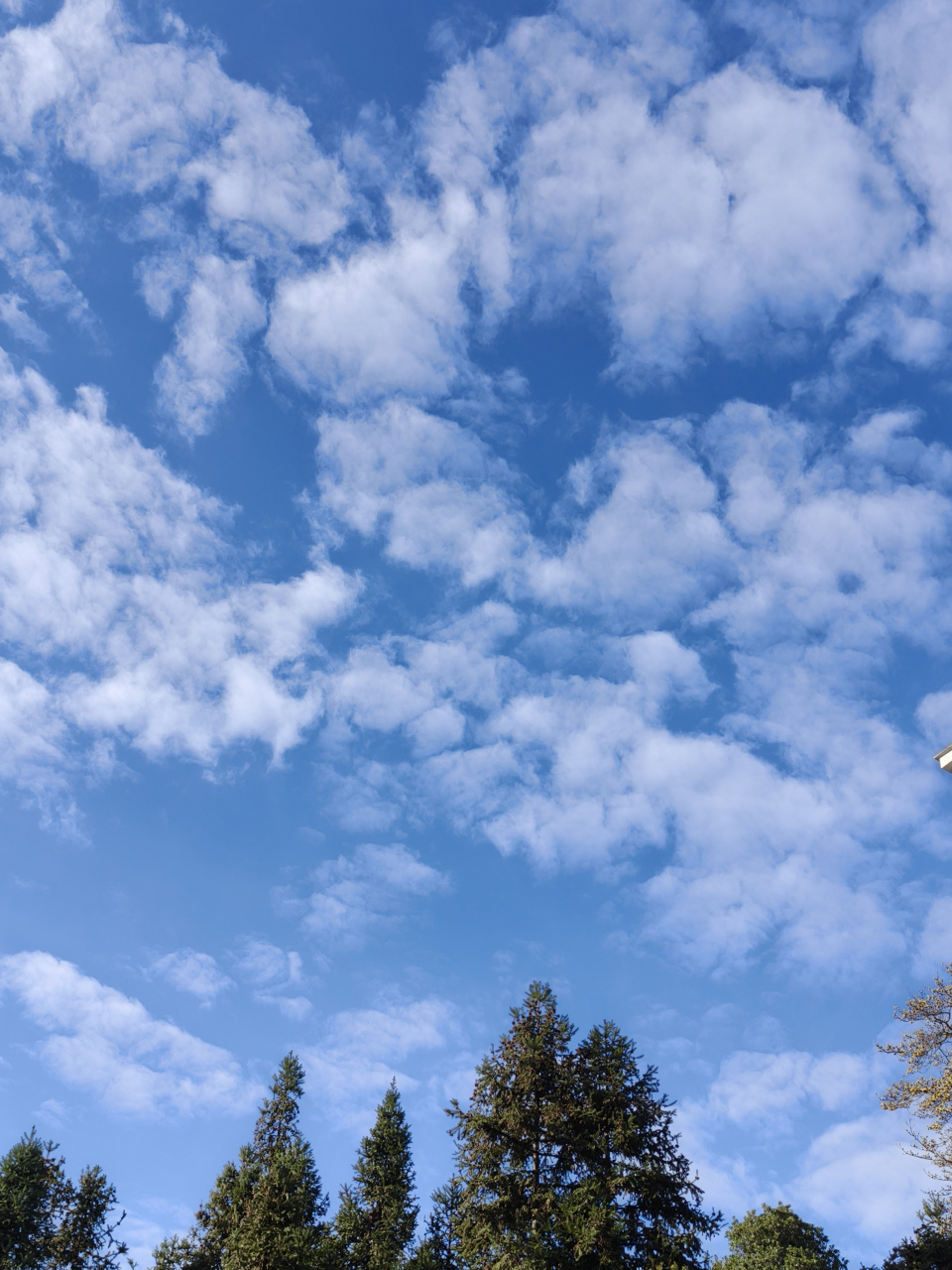 每次回到家乡,看到那片纯净的蓝天和洁白的云朵,心情都会变得格外舒畅