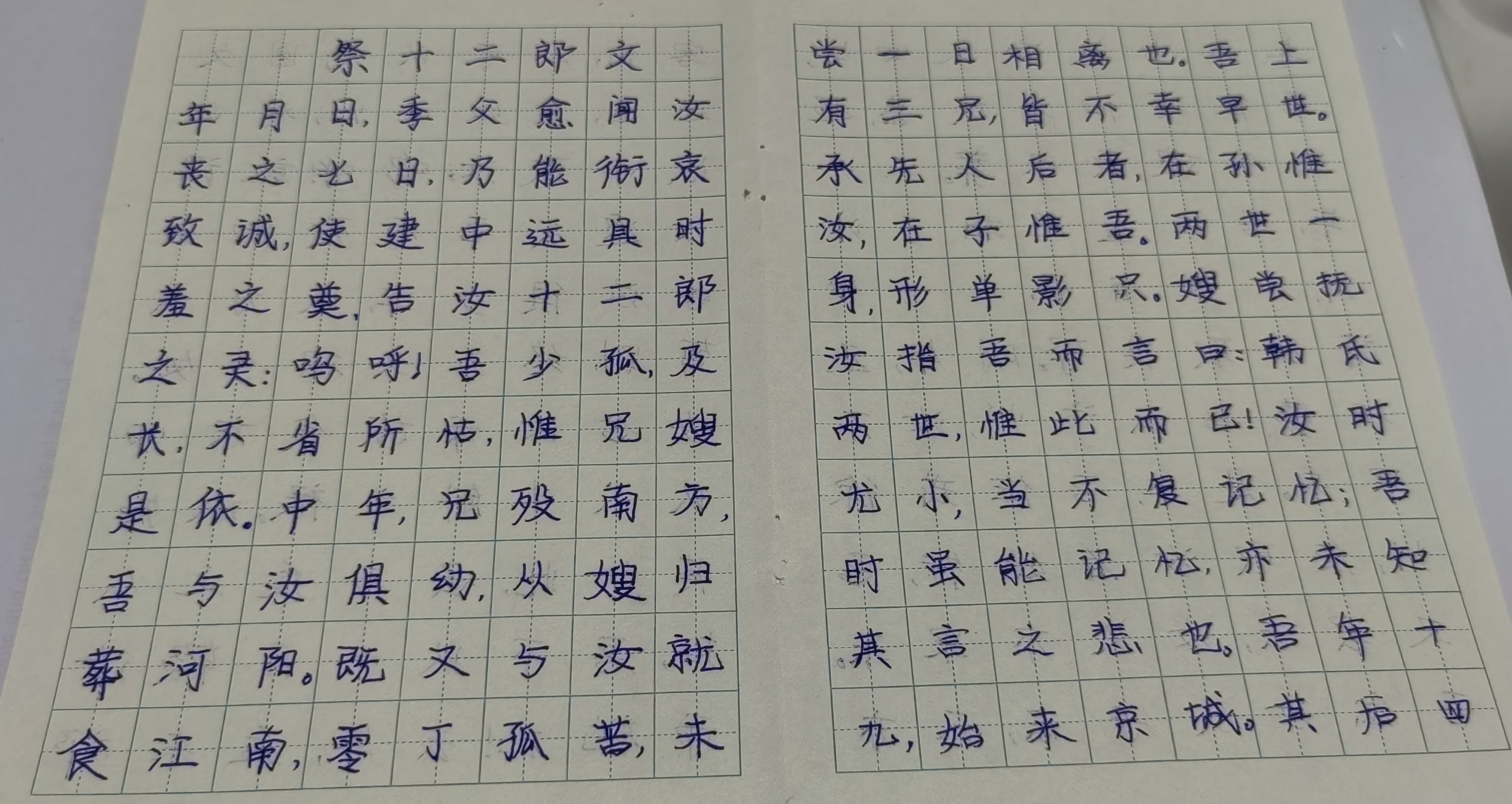 祭十二郎文学习通答案（祭十二郎文学案和答案）