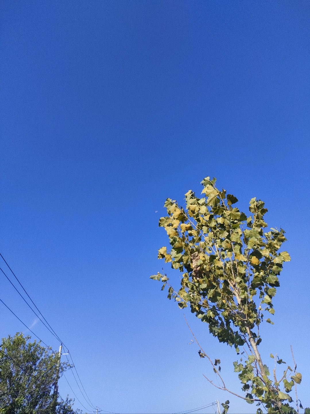 秋高气爽,风轻云淡!