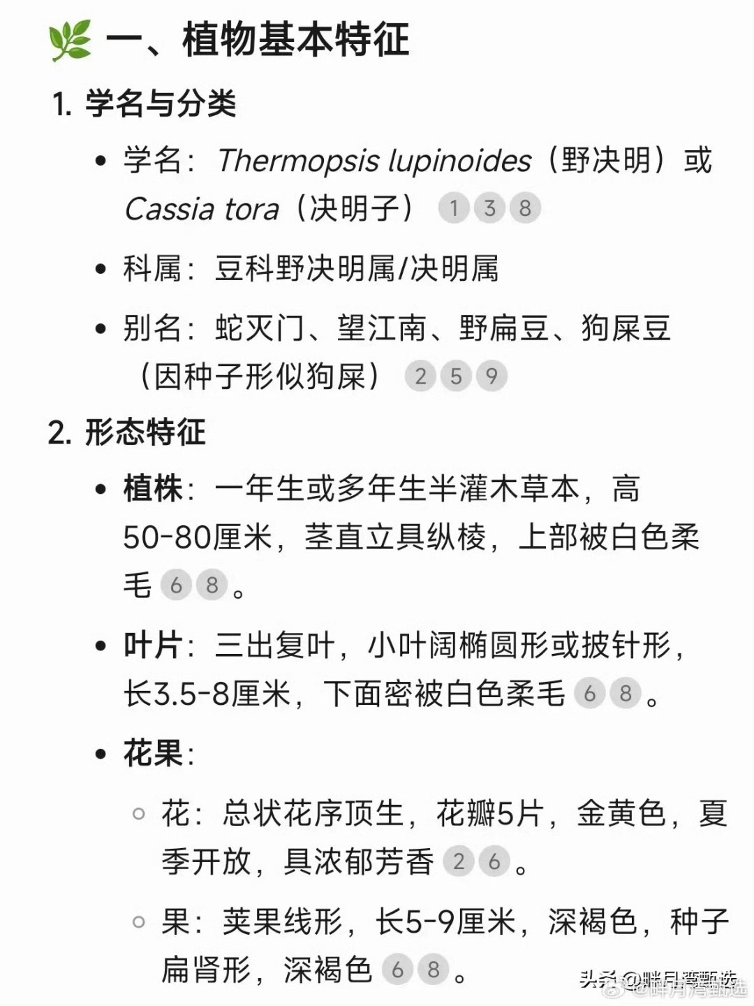 野决明子植物(学名:望江南,俗称为"蛇灭门")的确具备驱蛇防蛇的功效