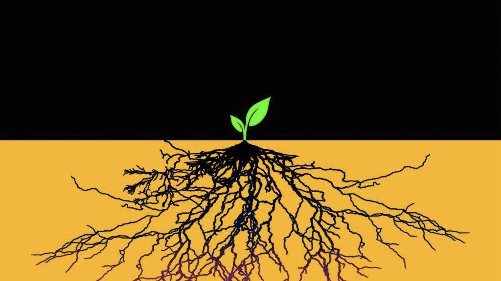 人应该学习植物的品性,种子撒在哪就在哪里扎根,就在哪里生根发芽.