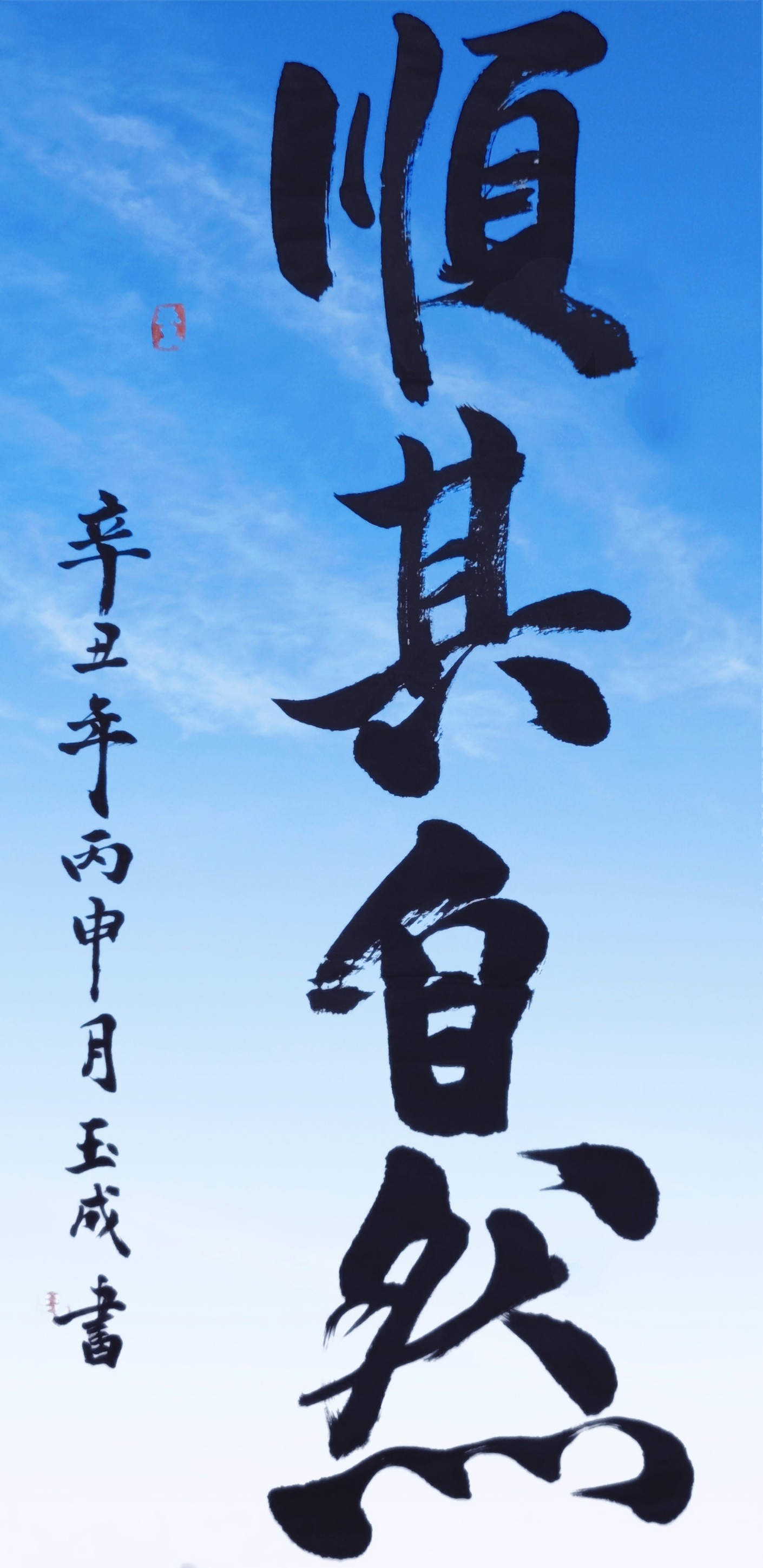 万事顺其自然,莫强求,空悲切,白了少年头[左捂脸]