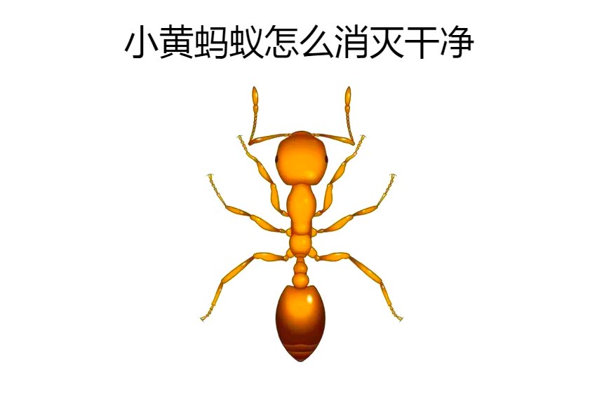 其实蚂蚁并不是直接从一楼爬上来的,主要还是通过携带到家里