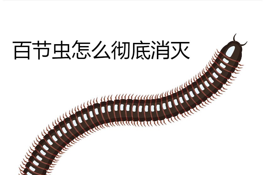 百节虫是一种像蜈蚣一样的虫子,身体细长,如果不注意还以为是蜈蚣