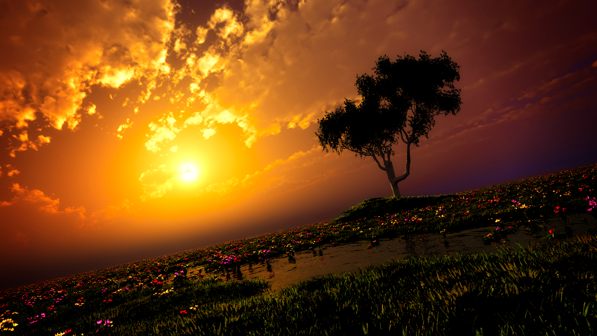 动漫绝美风景2#二次元美图# #动漫美图