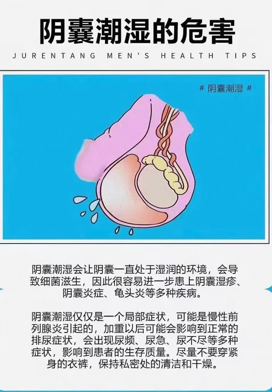 男性健康小知识 阴囊潮湿的危害 最闹心:痒[抓狂] 湿疹,蛋蛋表皮