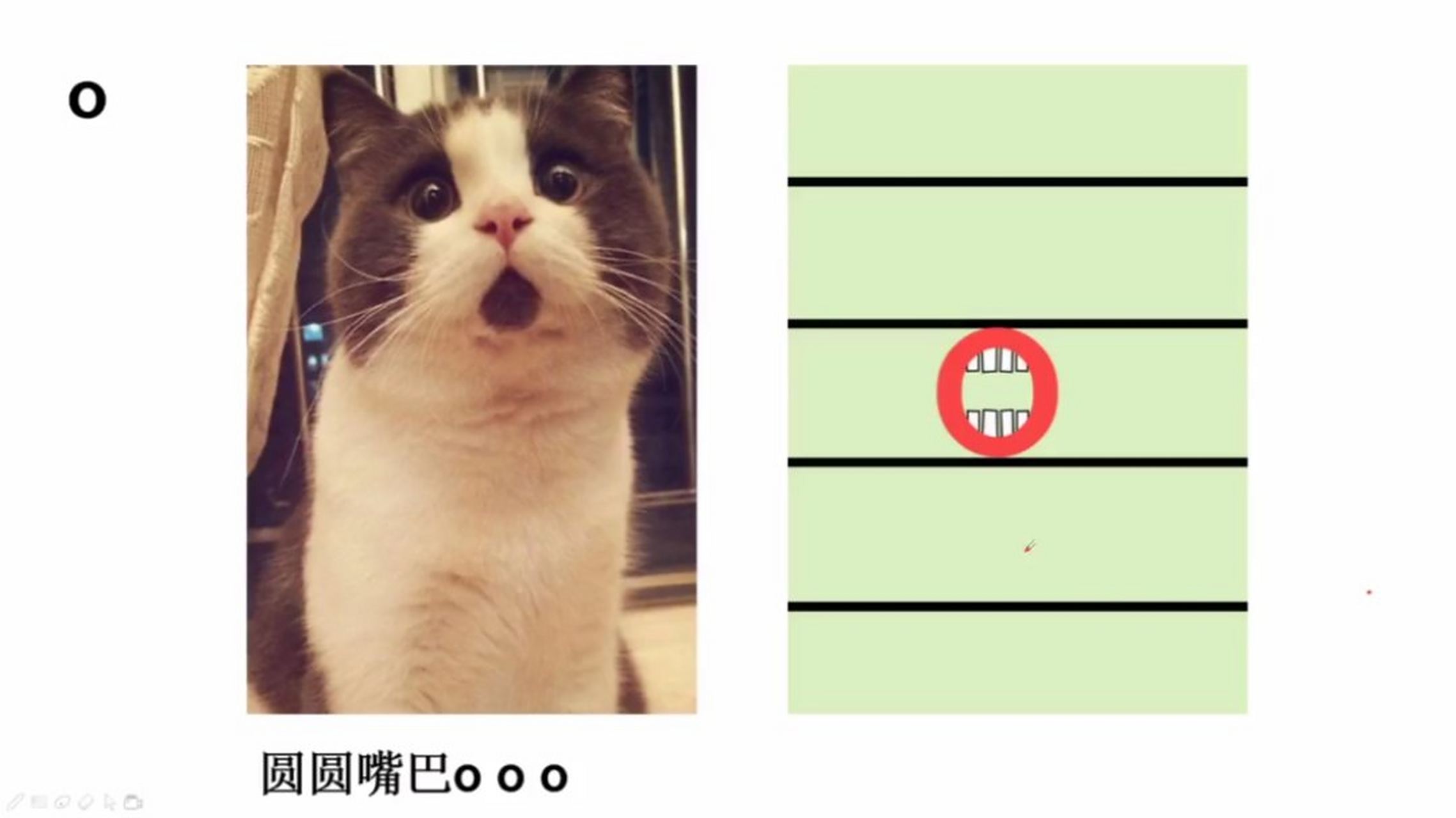 拼音的形象记忆法  圆圆脸蛋小小辫ɑɑɑ 圆圆嘴巴ooo 大嘴花饿了eee