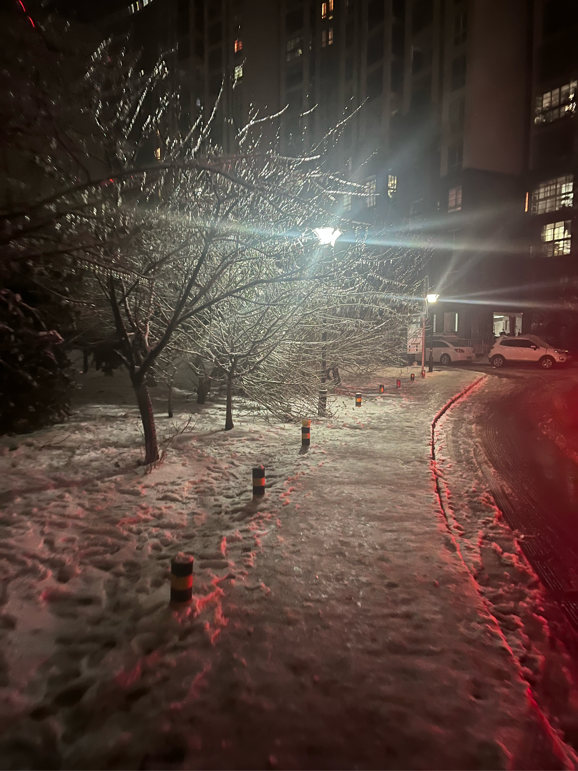 城市下雪夜景图片大全图片