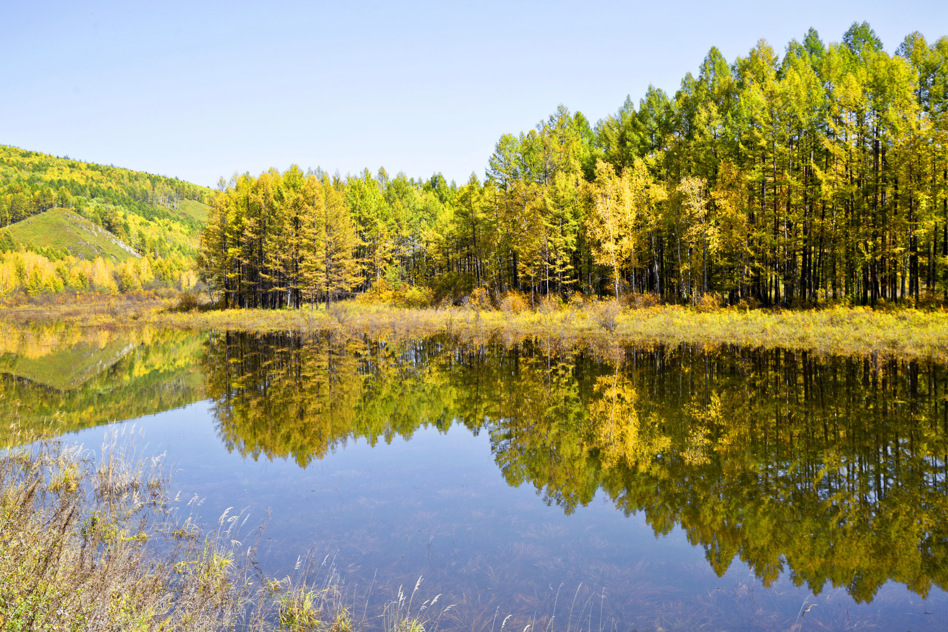 景色迷人,地处于大兴安岭深处的根河源国家湿地公园更有着迷人的秋色