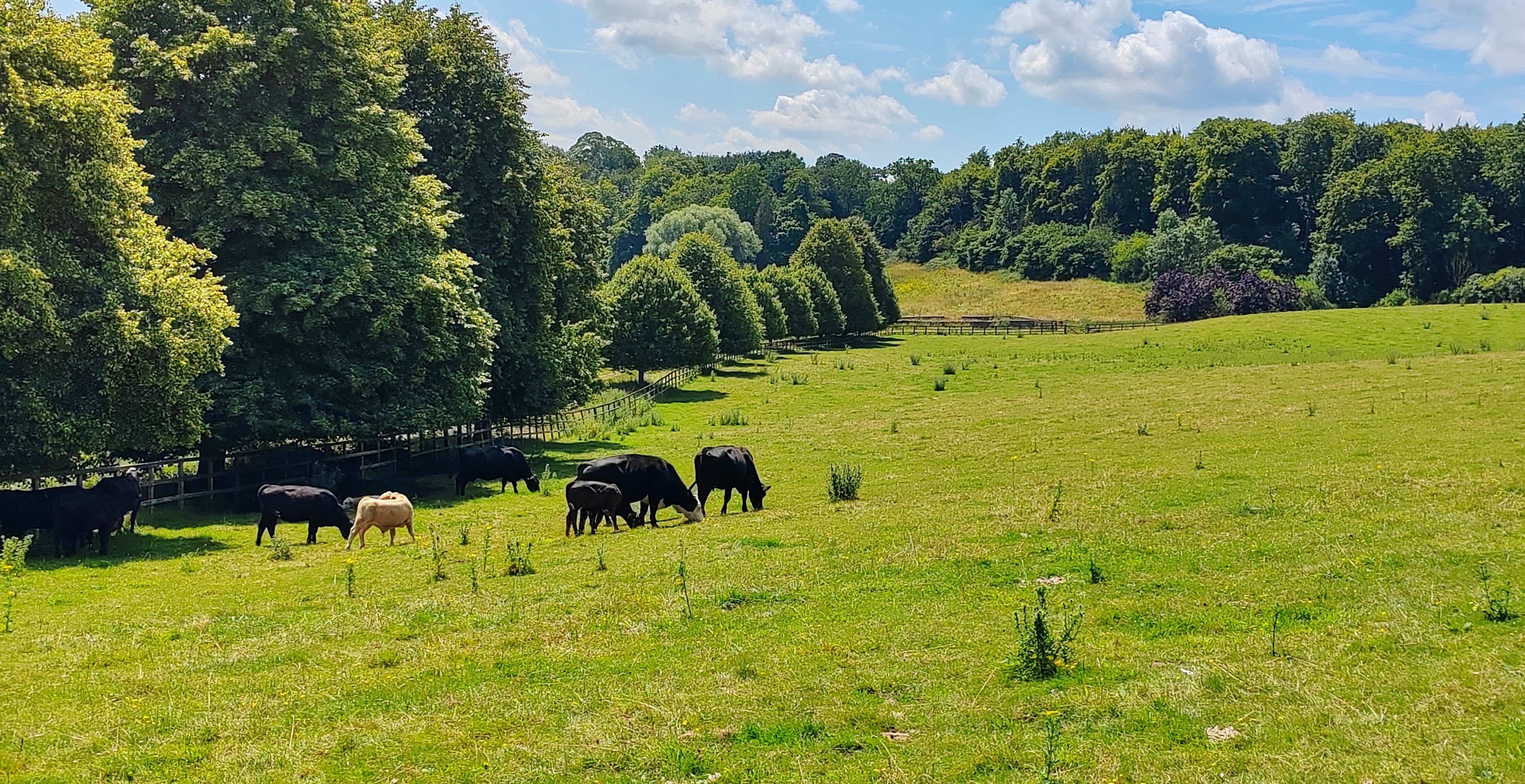 欧洲最美的三大田园风光之一,科茨沃尔德.