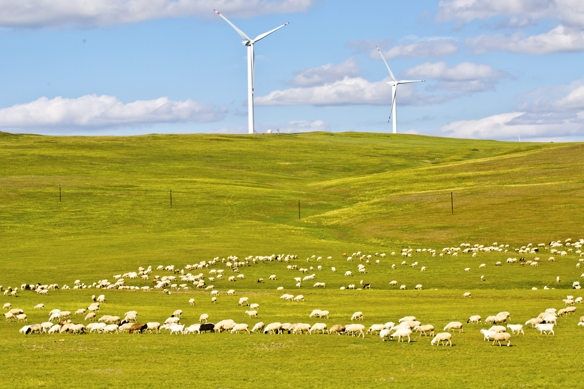 走绥满公路,行驶在呼伦贝尔大草原之中,呼伦贝尔大草原是世界著名的