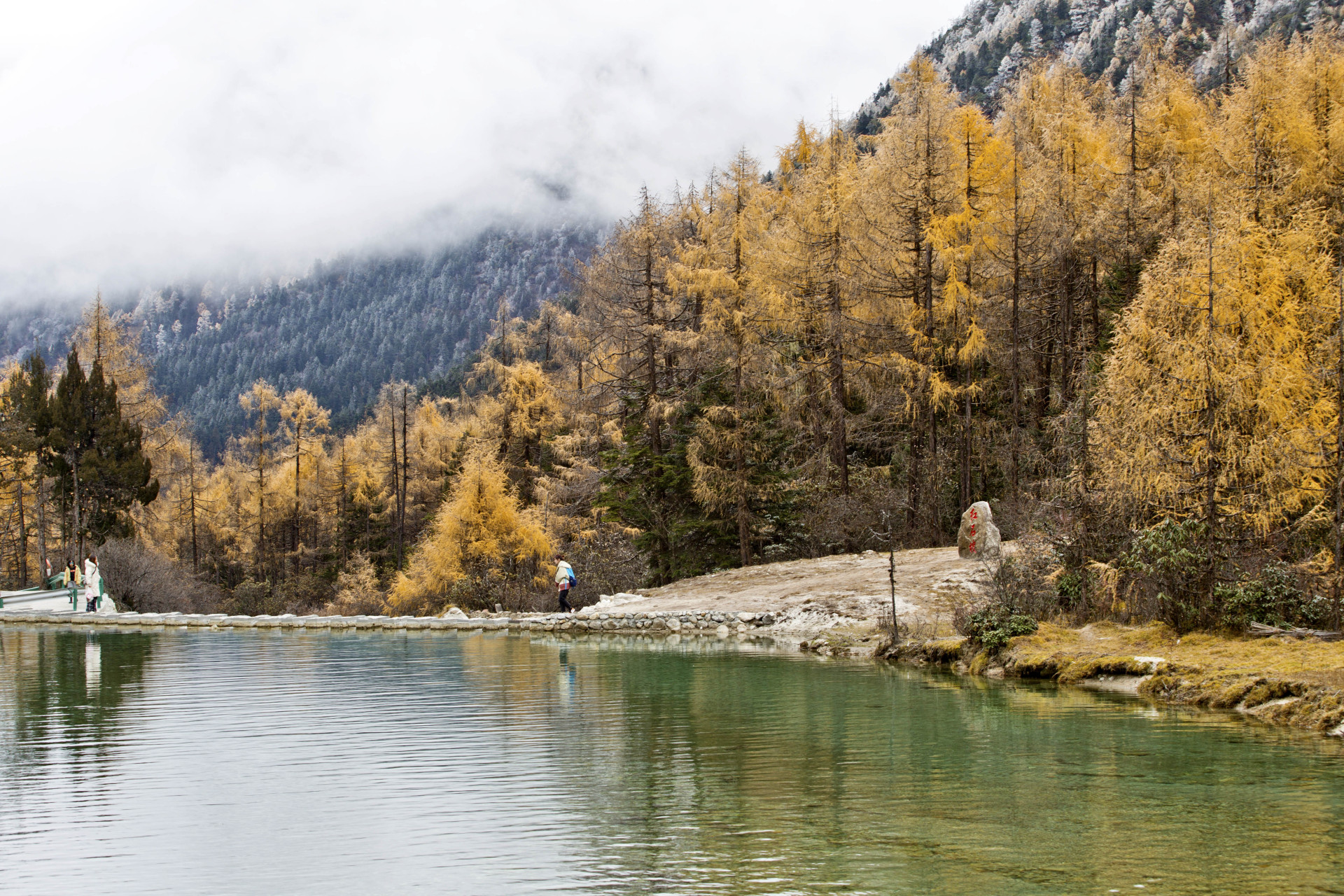 毕棚沟位于四川阿坝州,属米亚罗自然保护区的核心区域,是邛崃山大熊猫