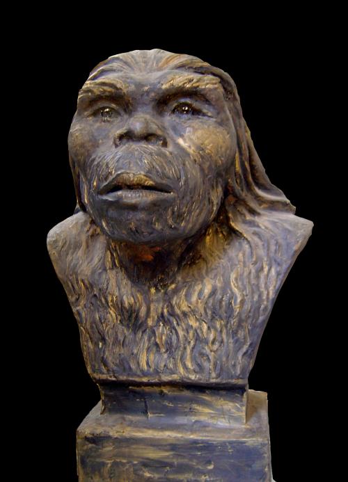 元谋人:揭开中国最早直立人的面纱