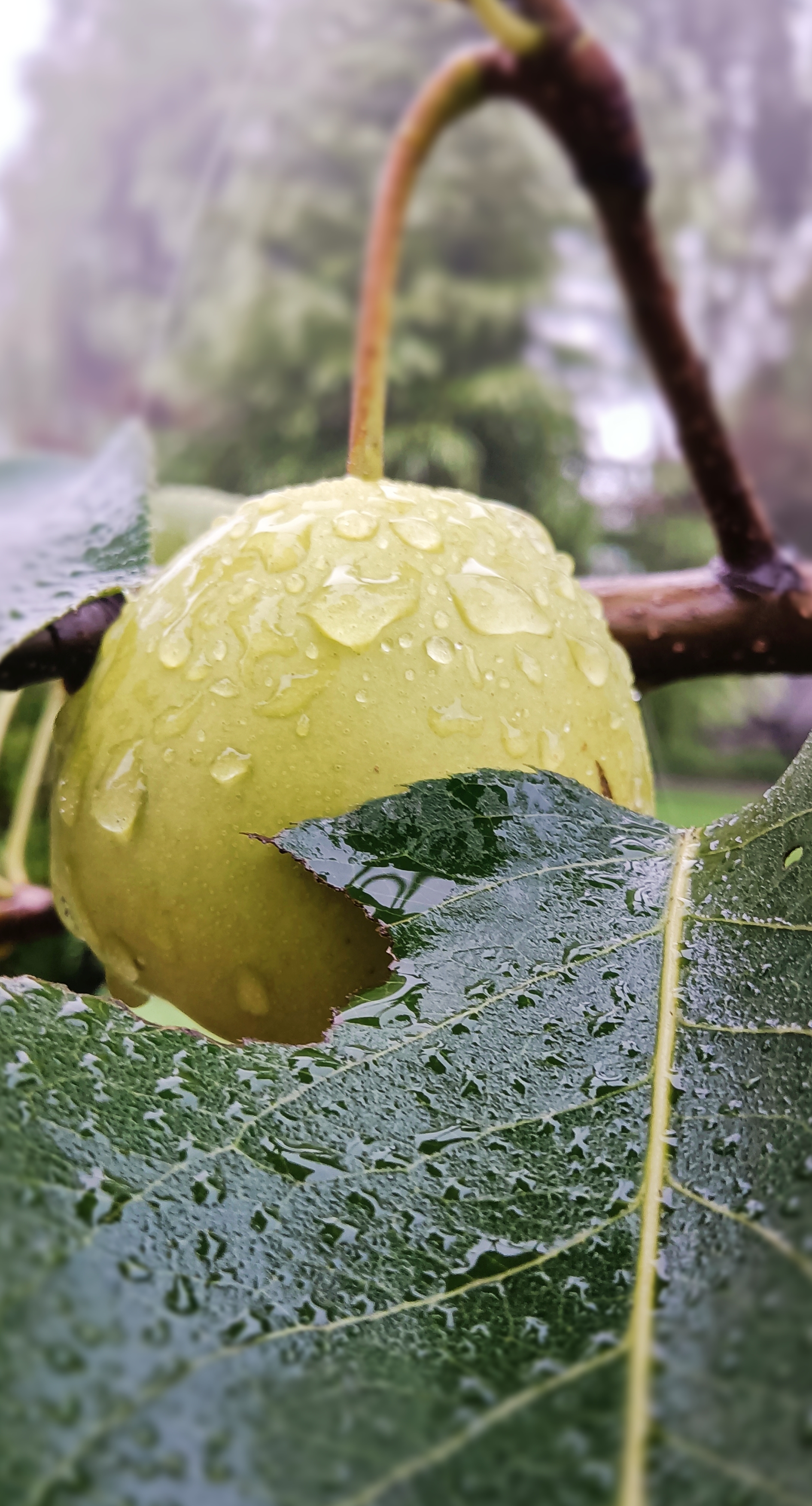你喜欢小雨吗为什么 你喜欢小雨吗为什么