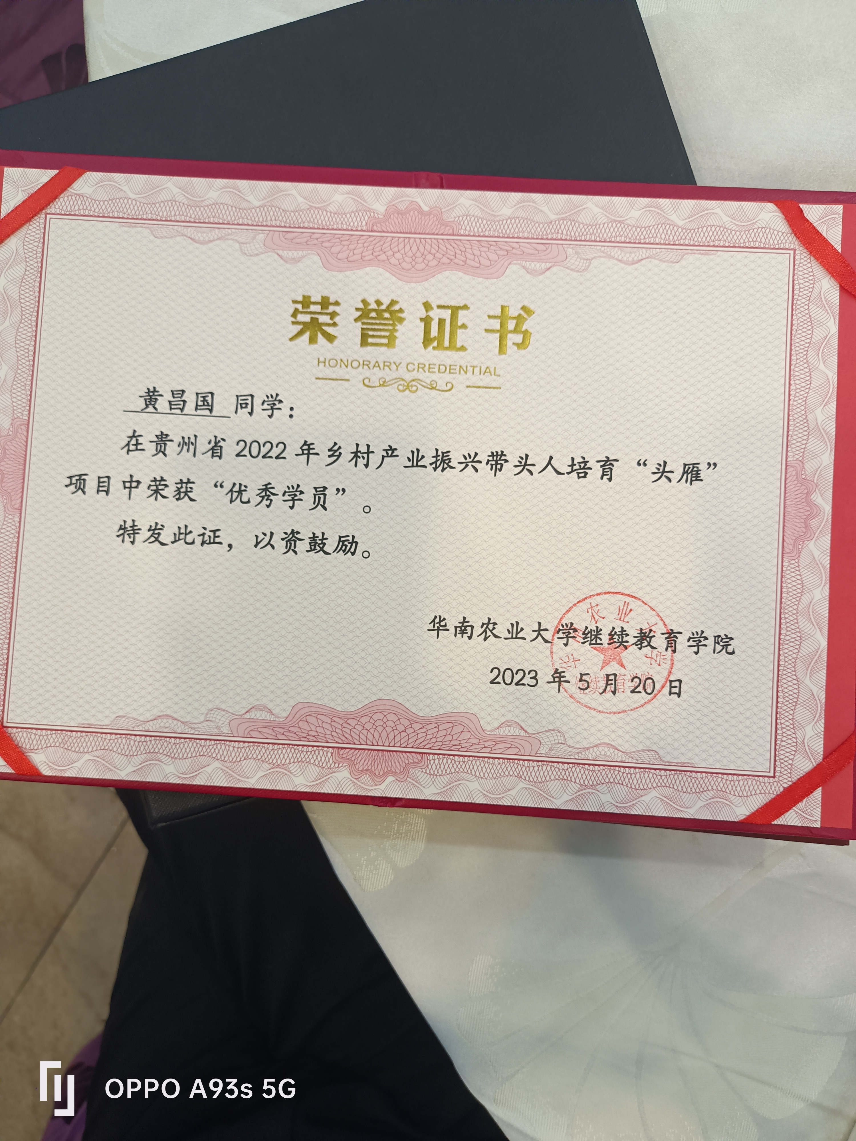 致富带头人情况简介(致富带头人情况简介范文)