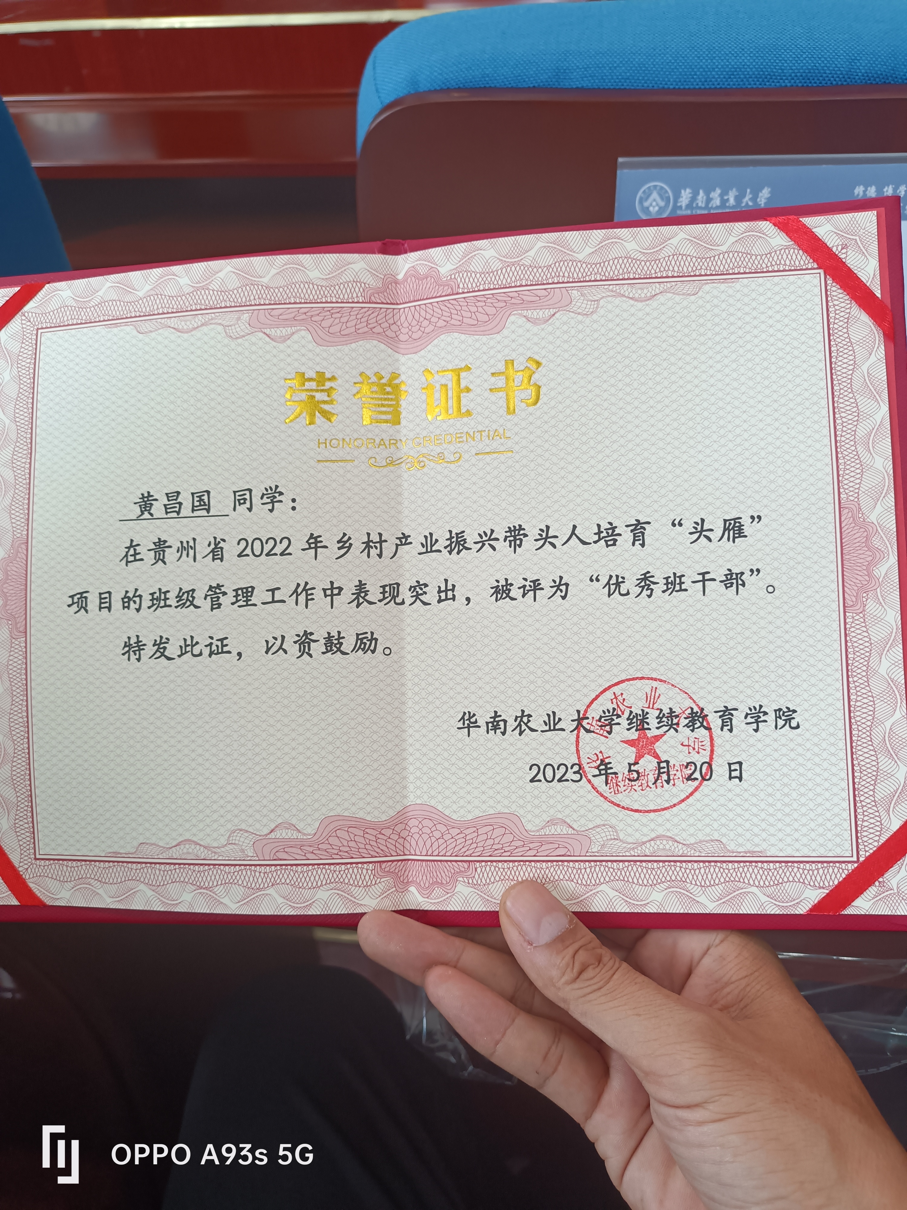 村民致富带头人荣誉证书模板怎么写(村民致富带头人荣誉证书模板怎么写的)