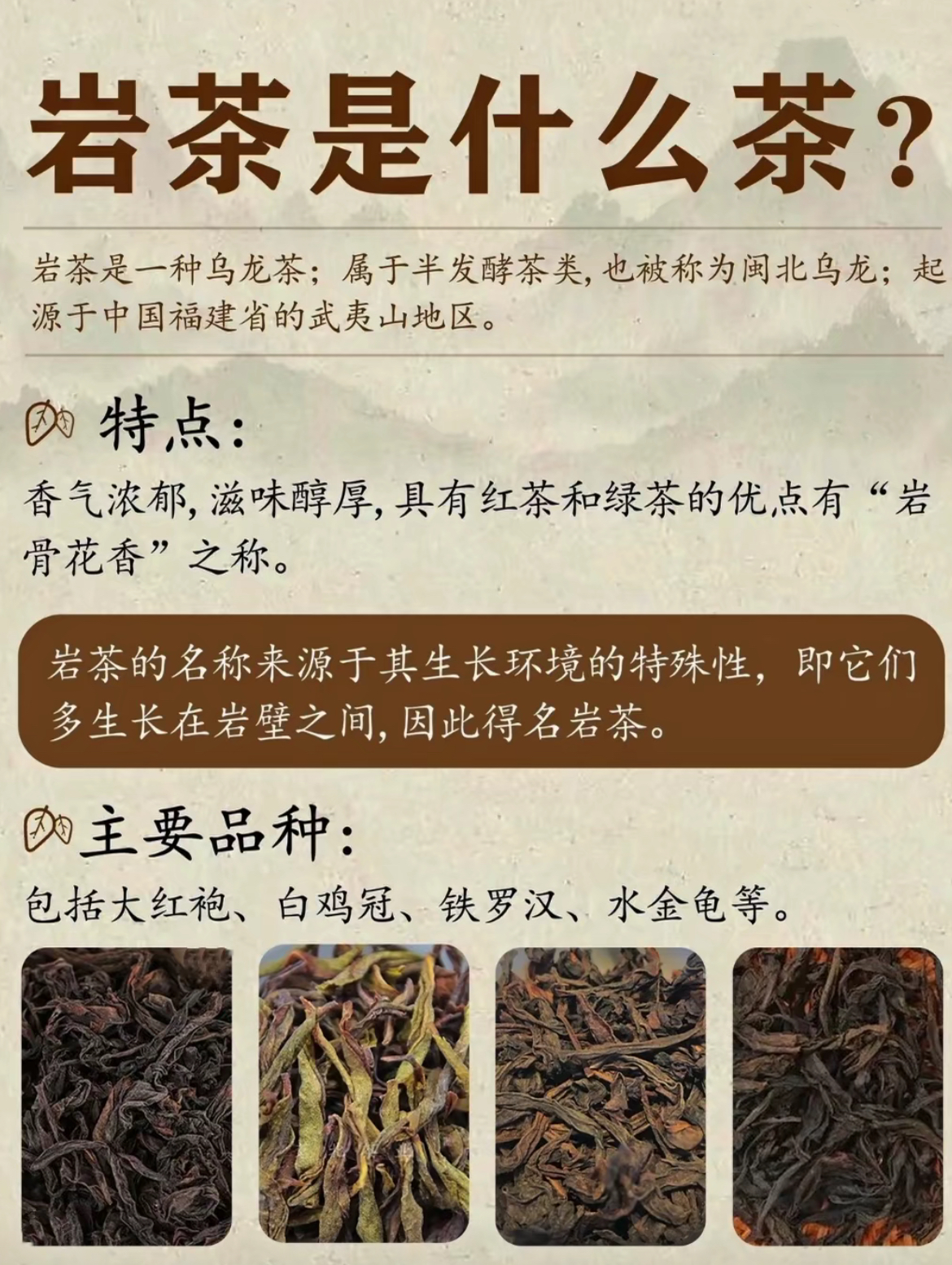 武夷山茶叶品牌排行图片