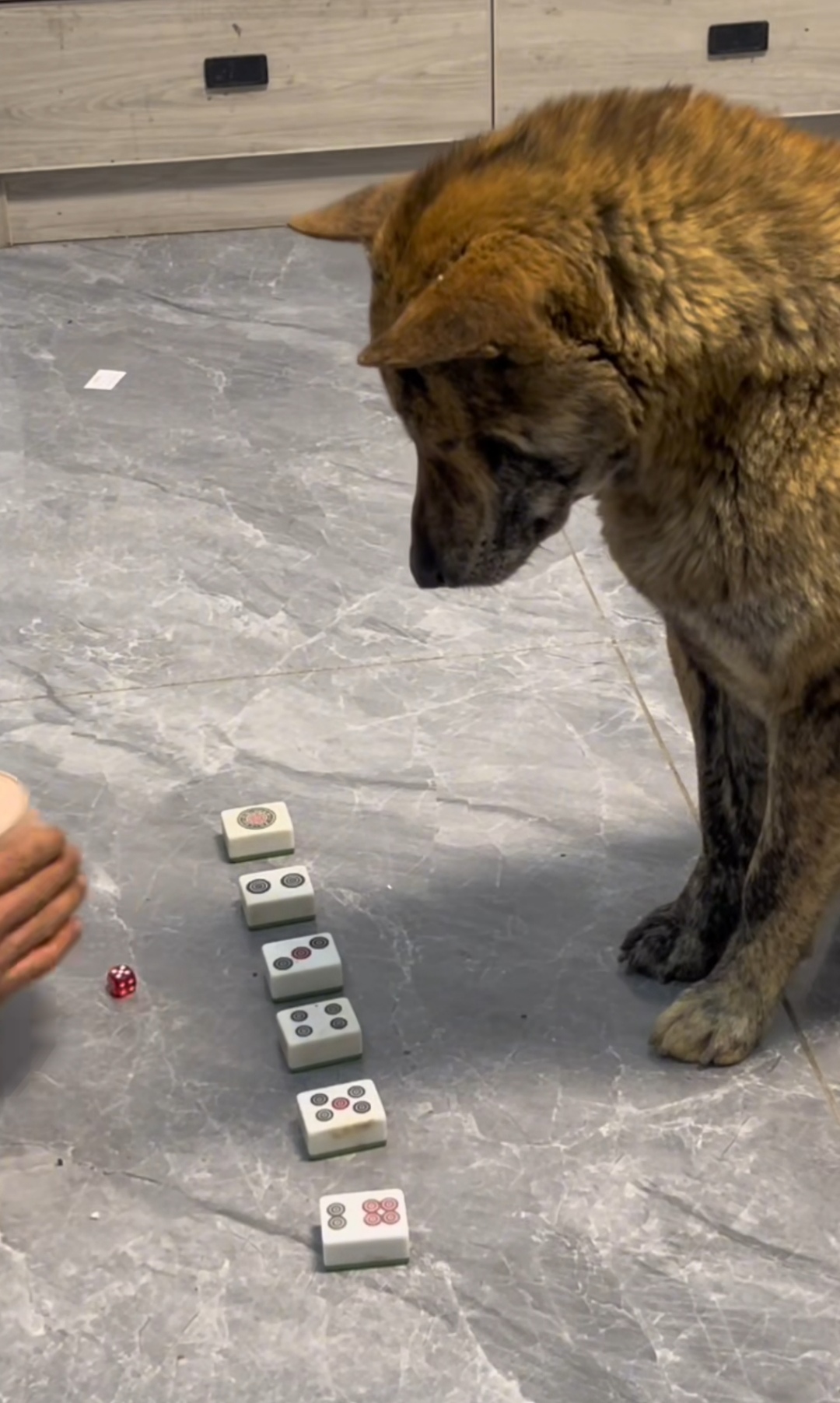 很有当年香港赌神的风范!