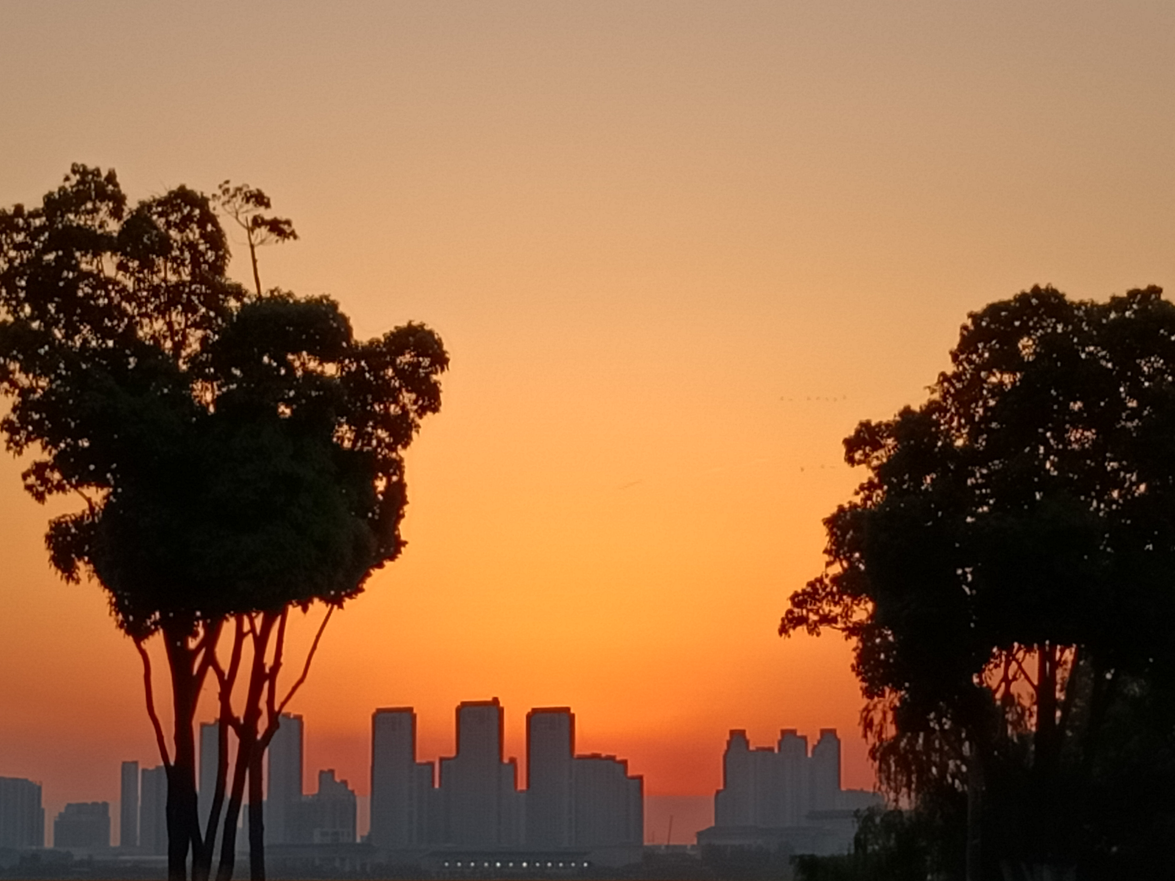 夏日黄家湖风光