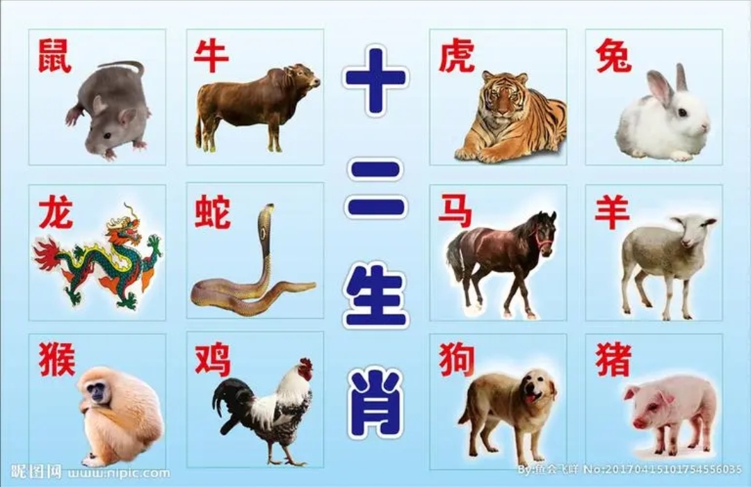 主人是什么生肖动物