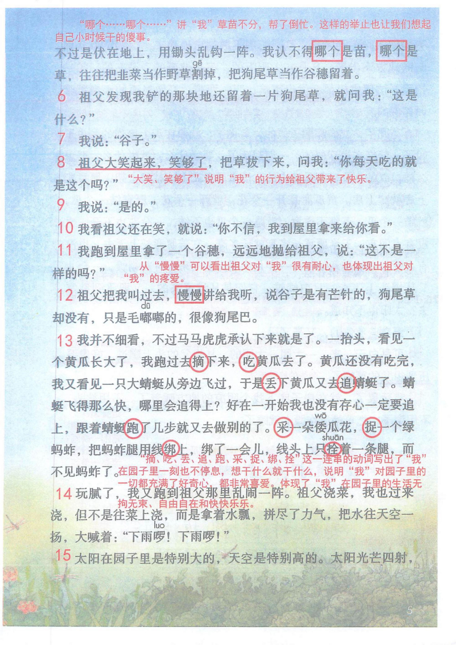 五年級下冊語文第二課《祖父的園子》筆記,望大家參考[加油啊][加油啊