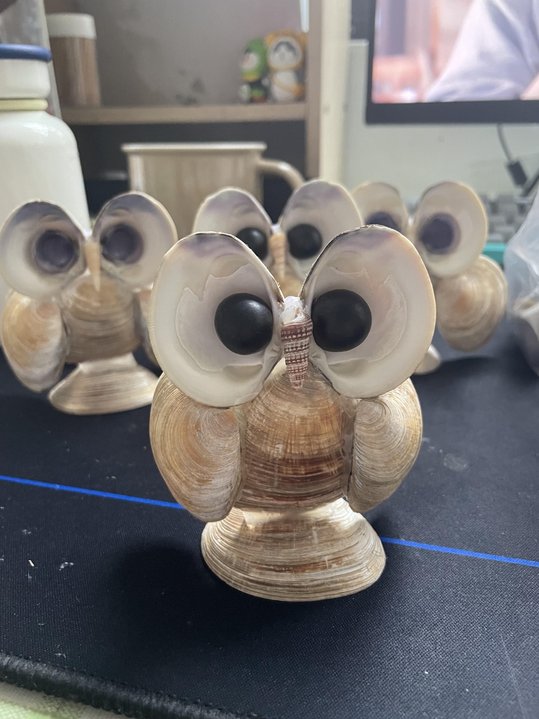 贝壳手工制作贝壳动物手工图片大全用贝壳能做什么大贝壳外壳怎样制作