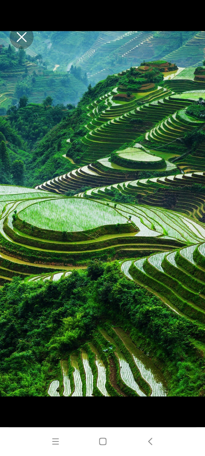 山坡上的绿色与白色交织,仿佛大自然的调色板